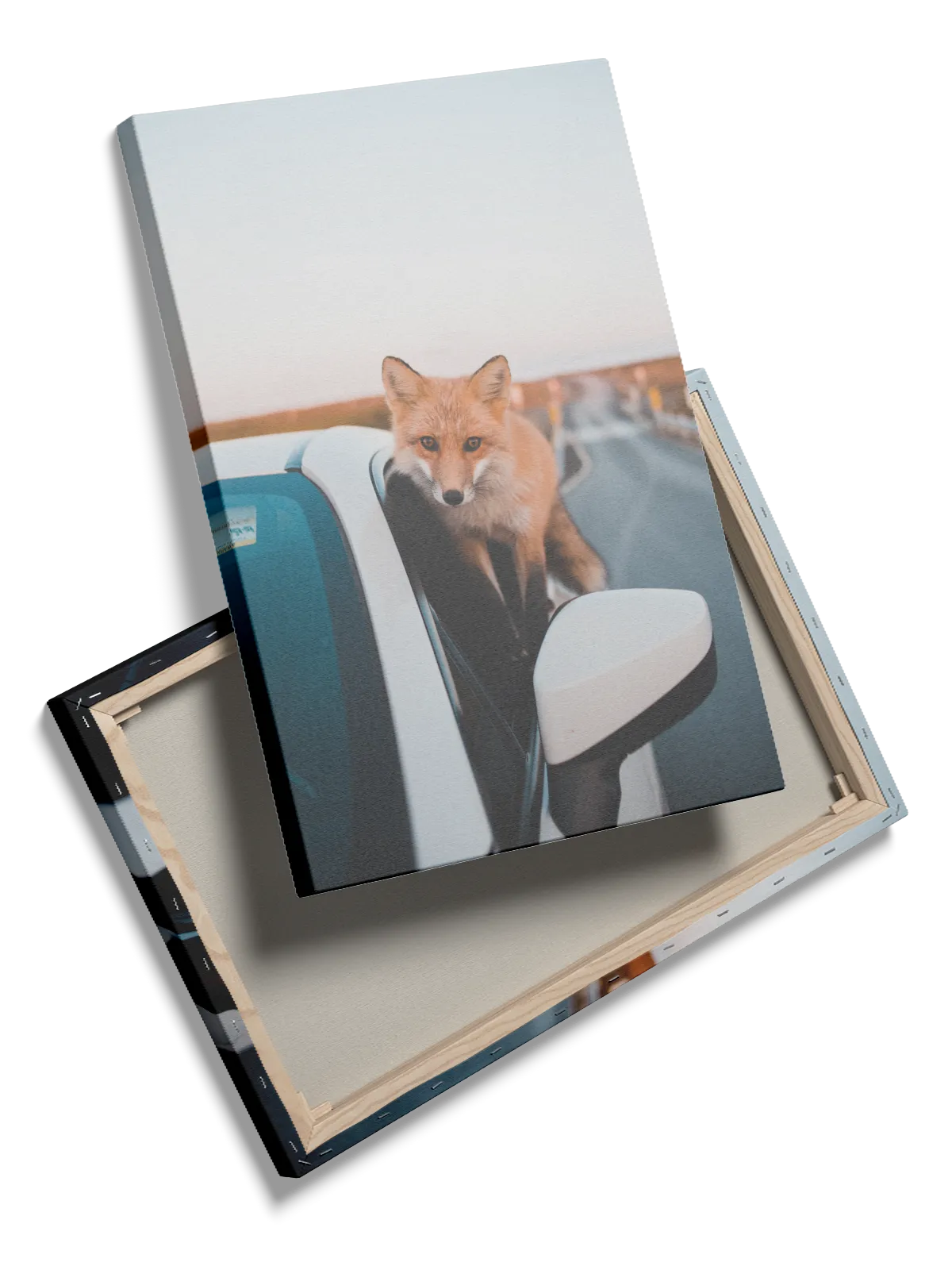 Red Fox Plakat