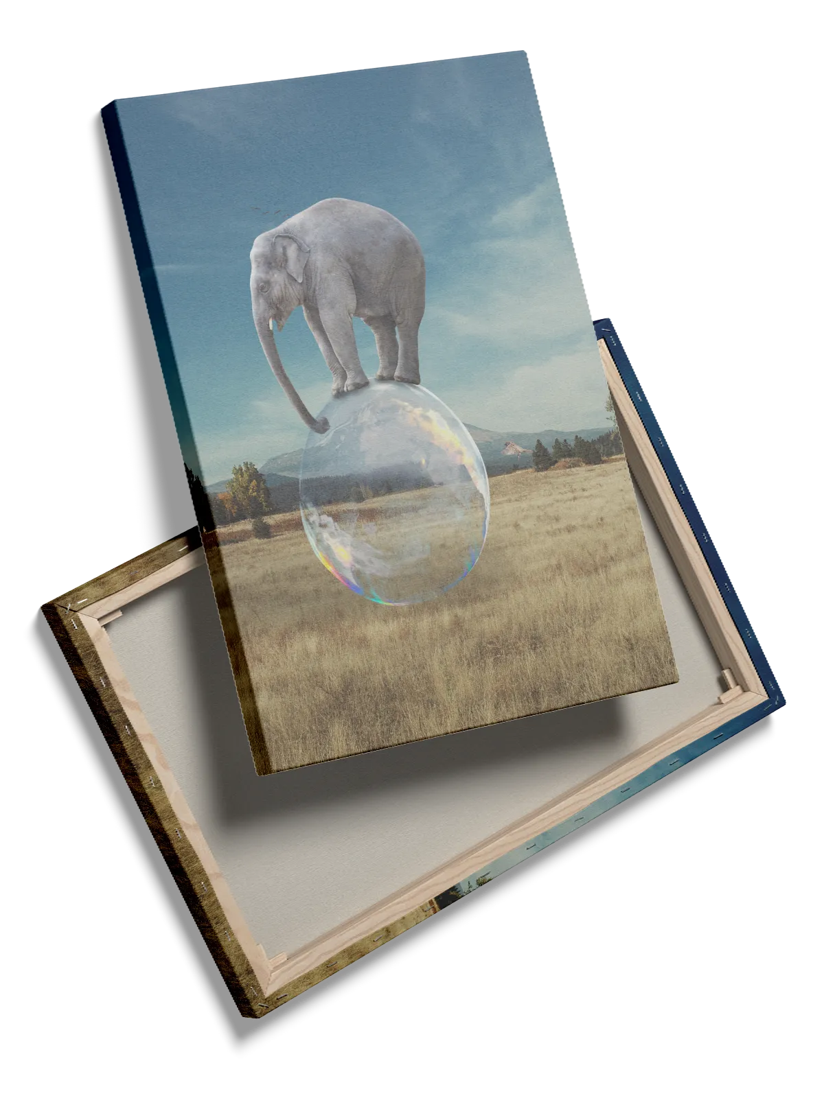 Elephant On Bubble Plakat