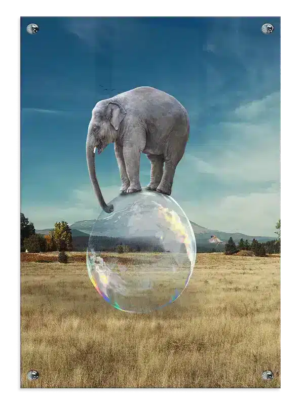 Elephant On Bubble Plakat