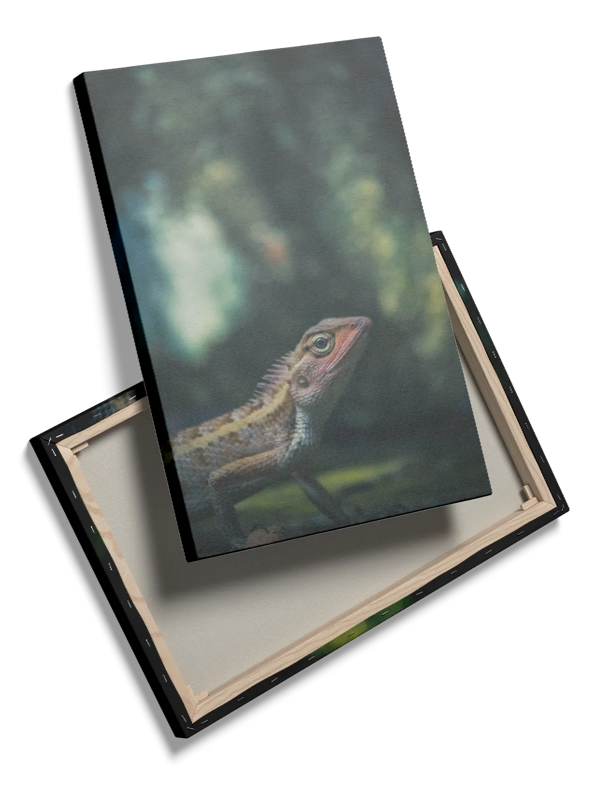 Kat Oriental Garden Lizard Plakat