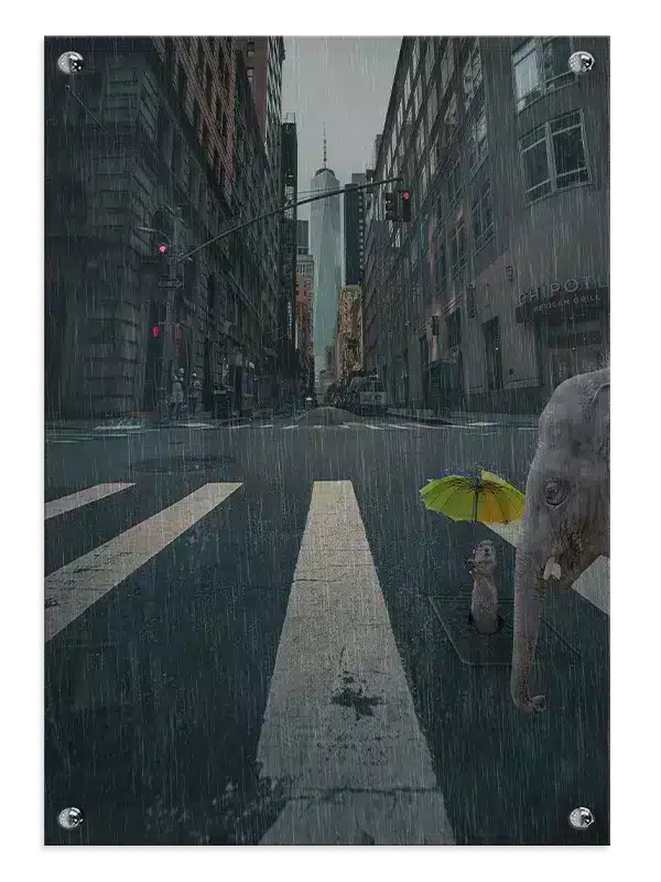 Elephant In Rain Plakat