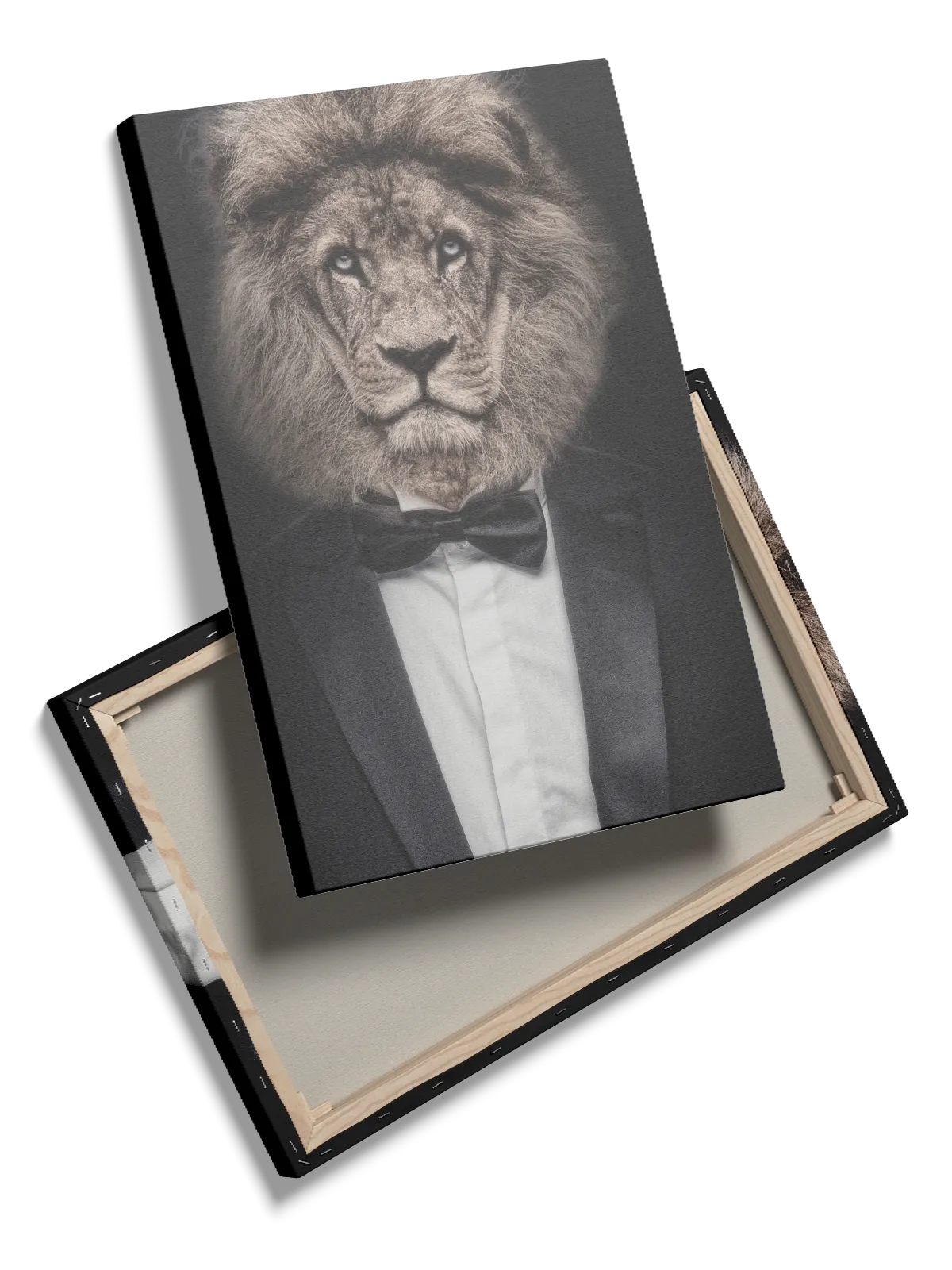 Lion In Tuxedo Plakat
