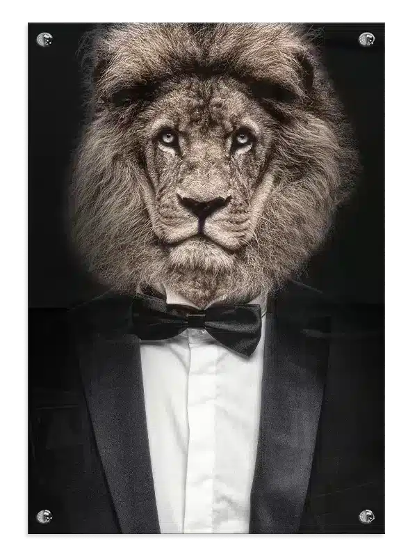 Lion In Tuxedo Plakat