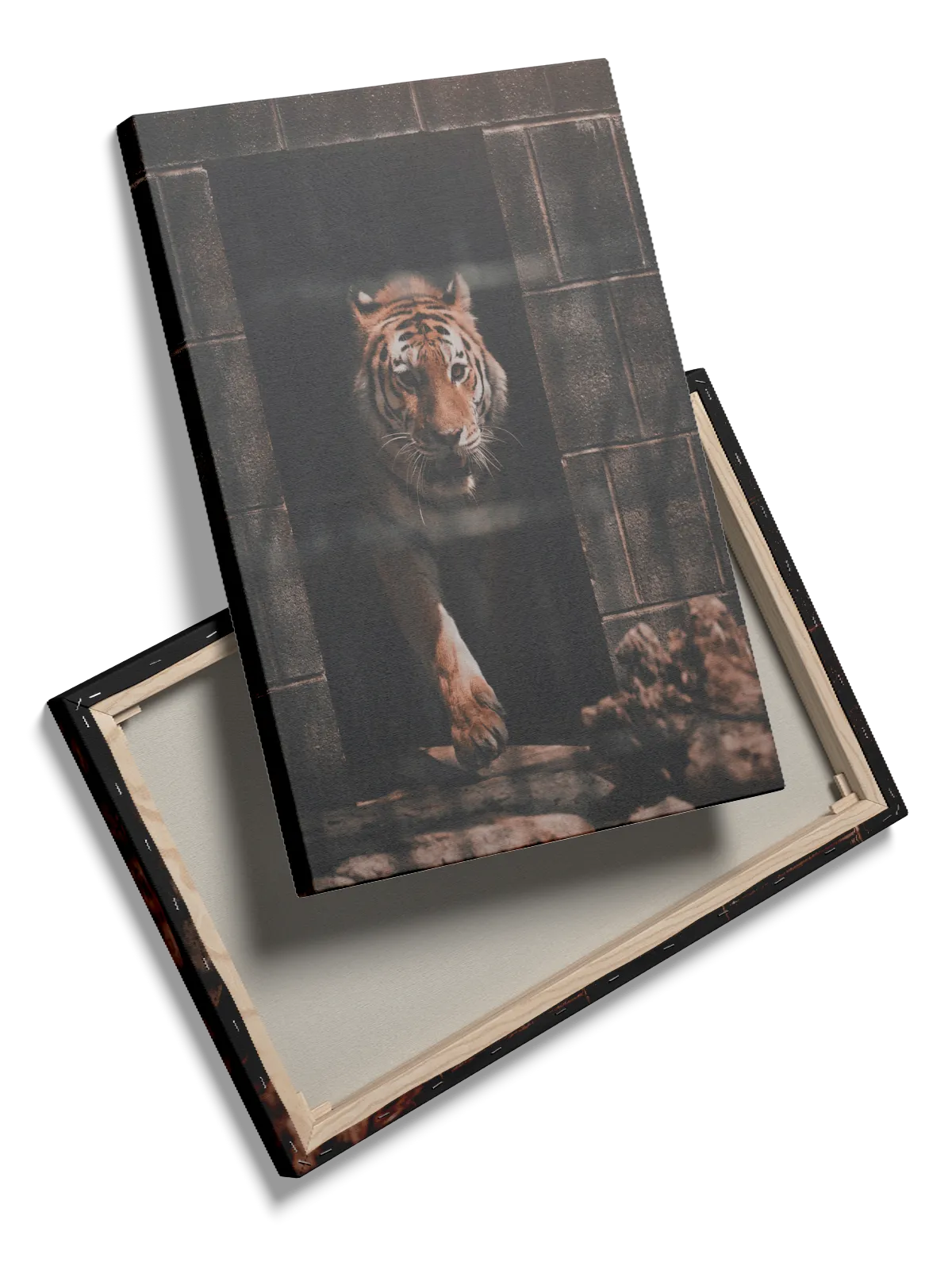 Tiger Emerging Plakat