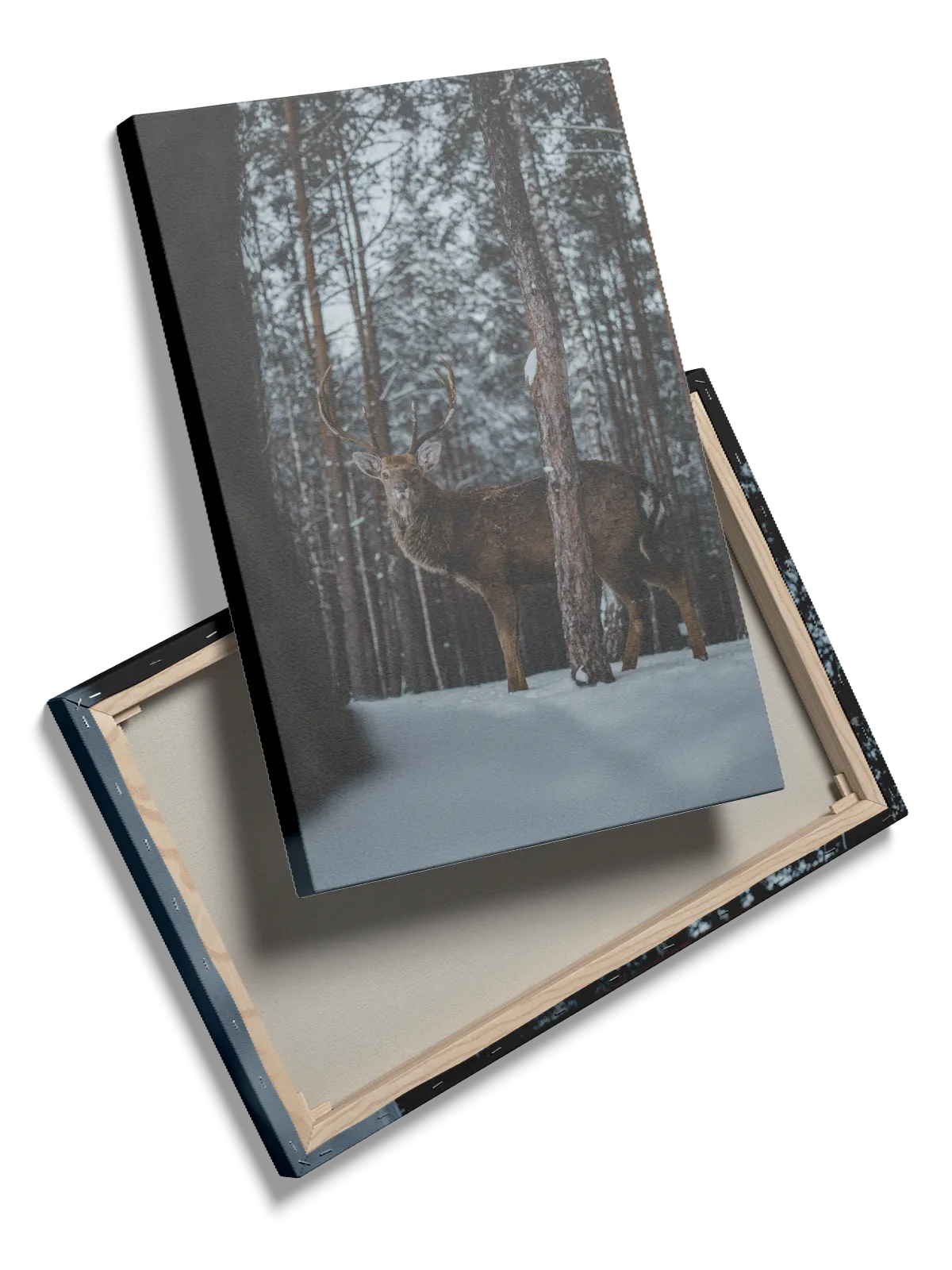 Red Deer Plakat