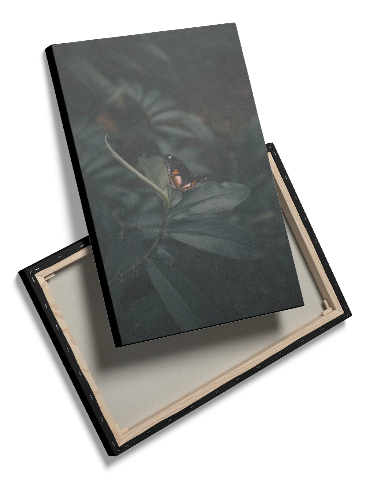 Butterfly Plakat