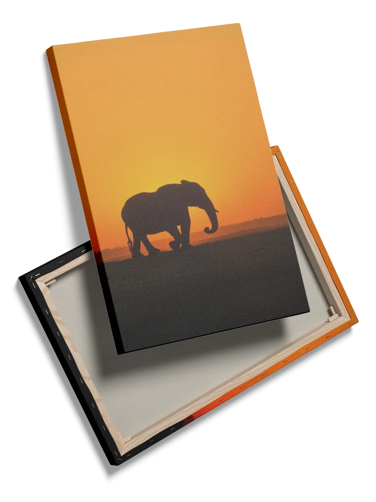Elephant Sunset No1 Plakat