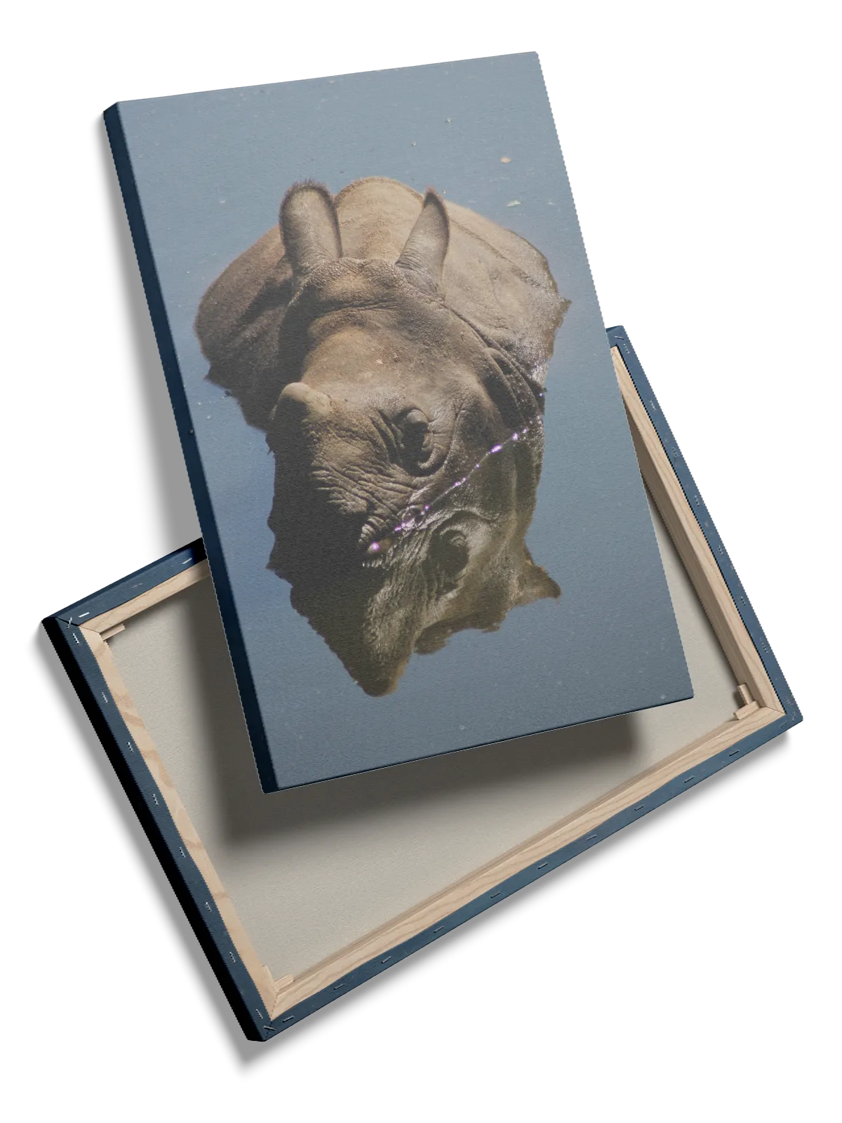 Indian Rhinoceros Plakat