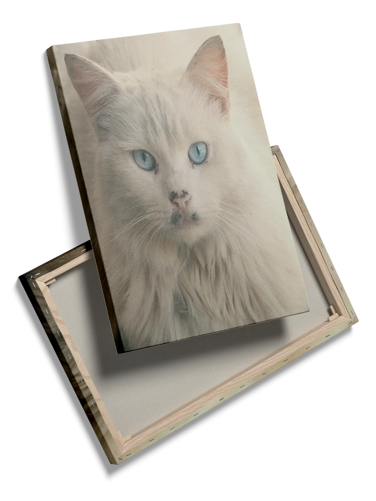 White Cat Plakat