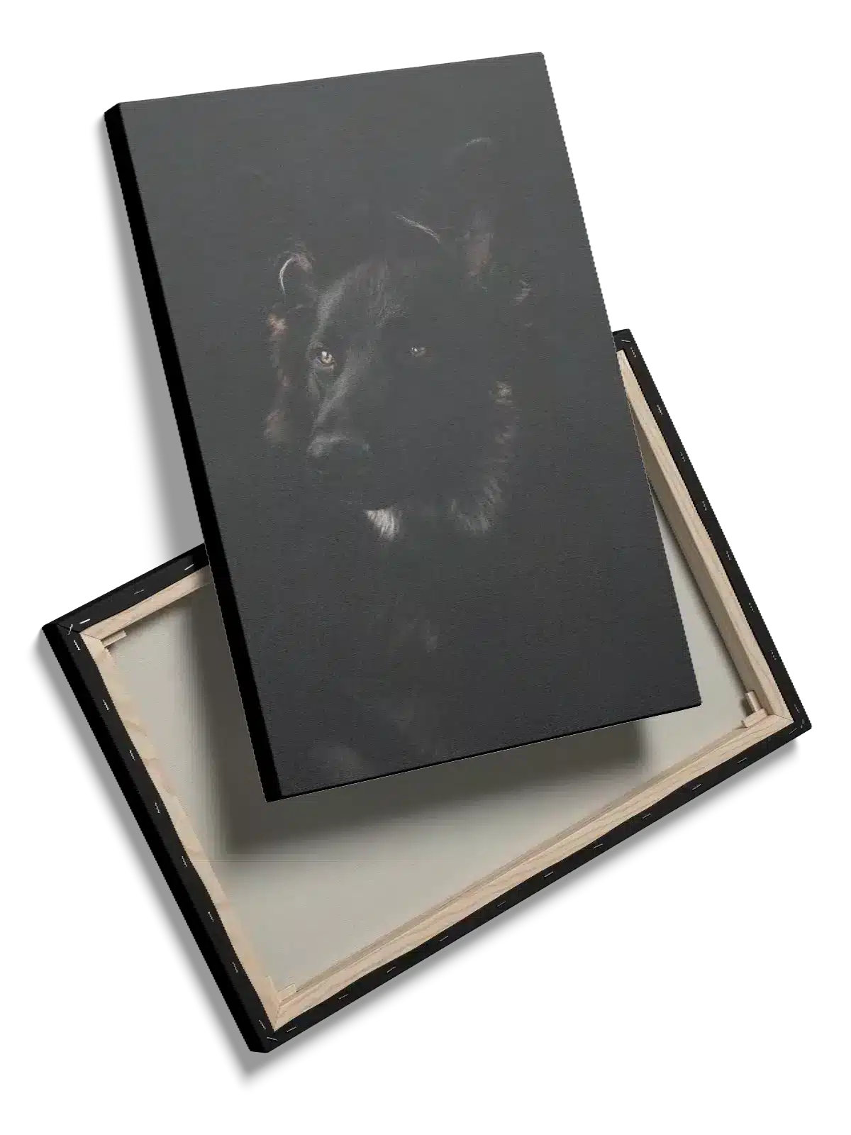 Black German Shepherd Plakat