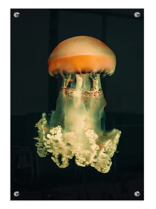 Jellyfish Glow Plakat