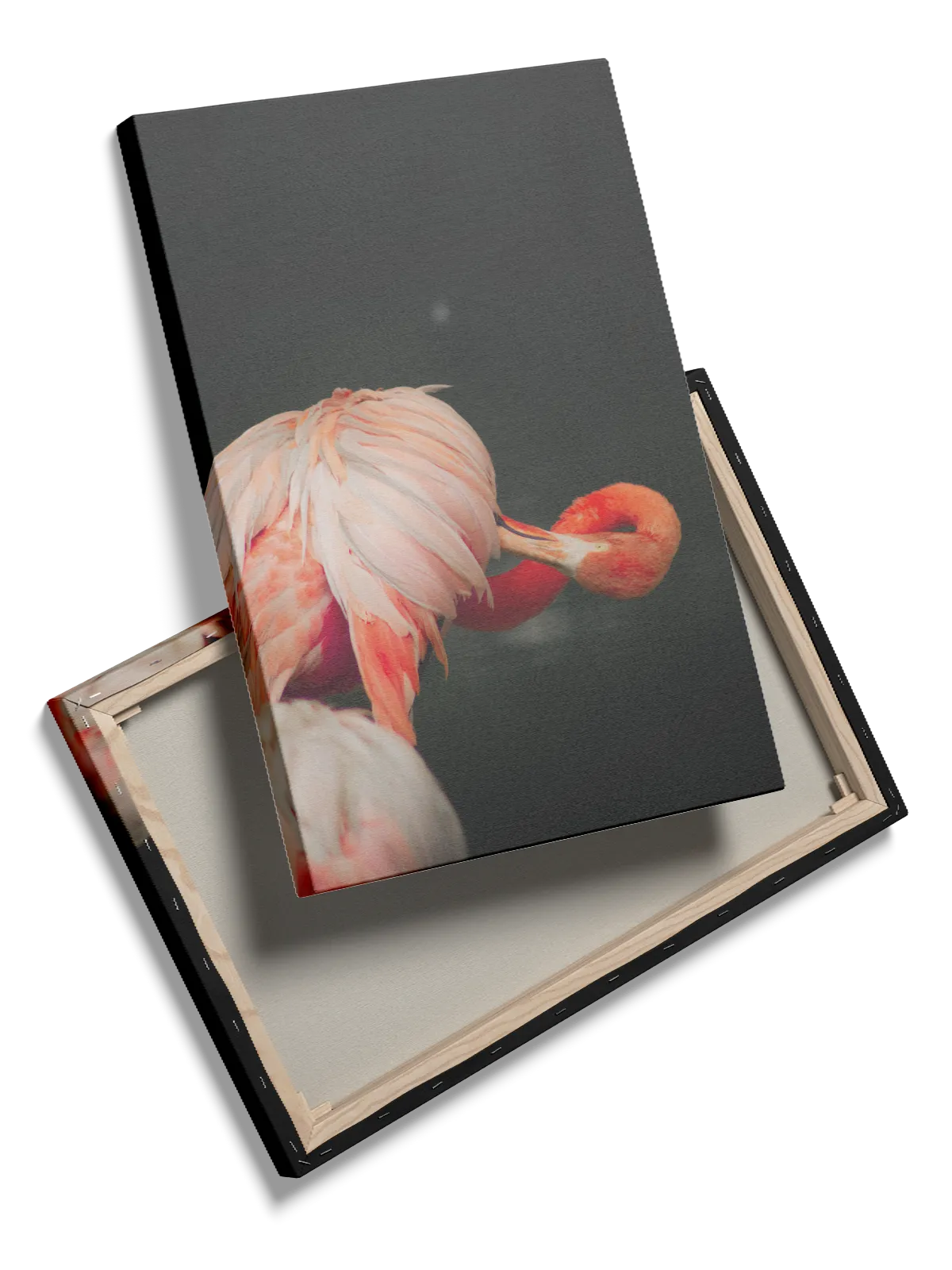 Flamingo Plakat