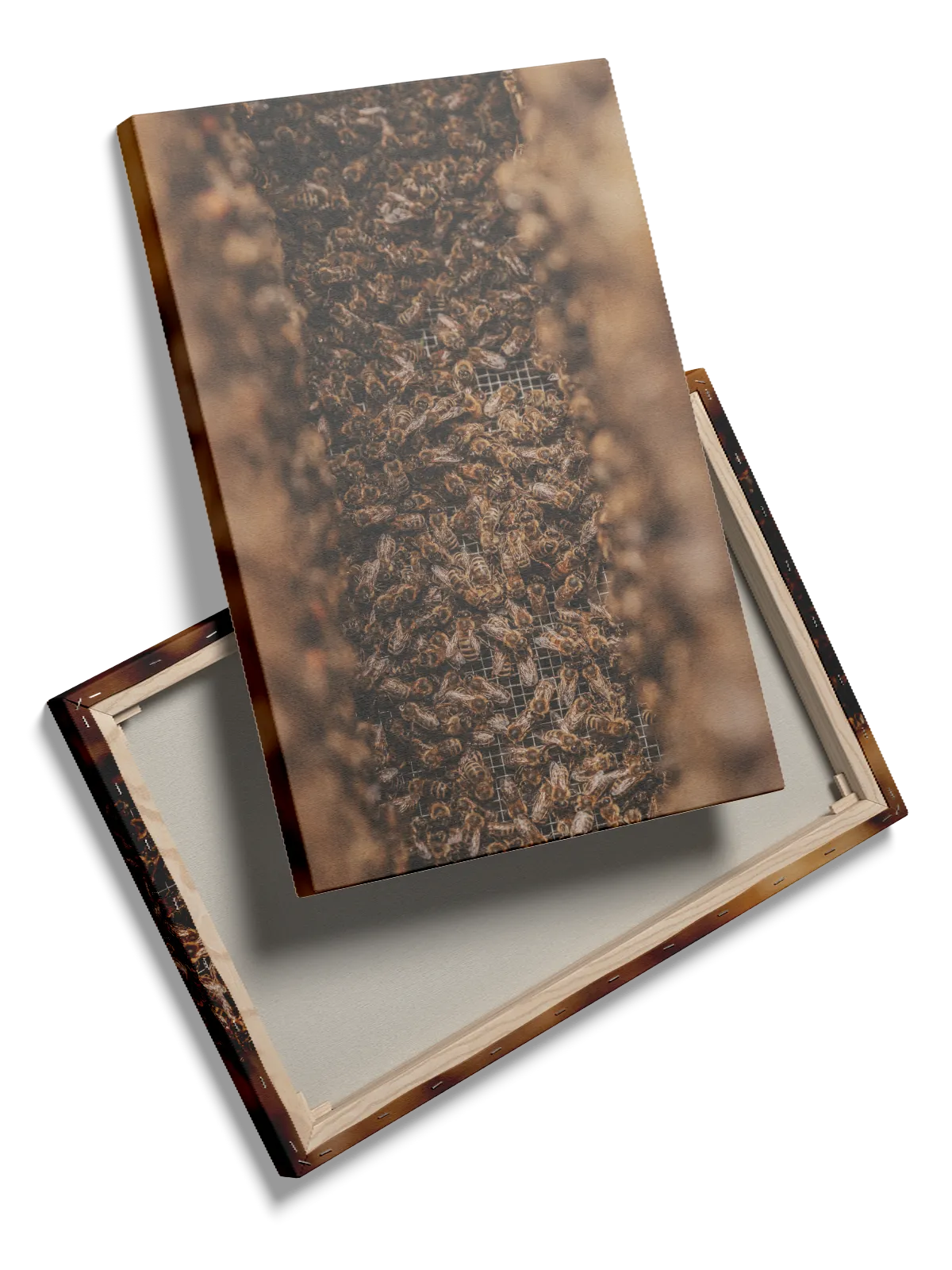 Honeybee Cluster Plakat