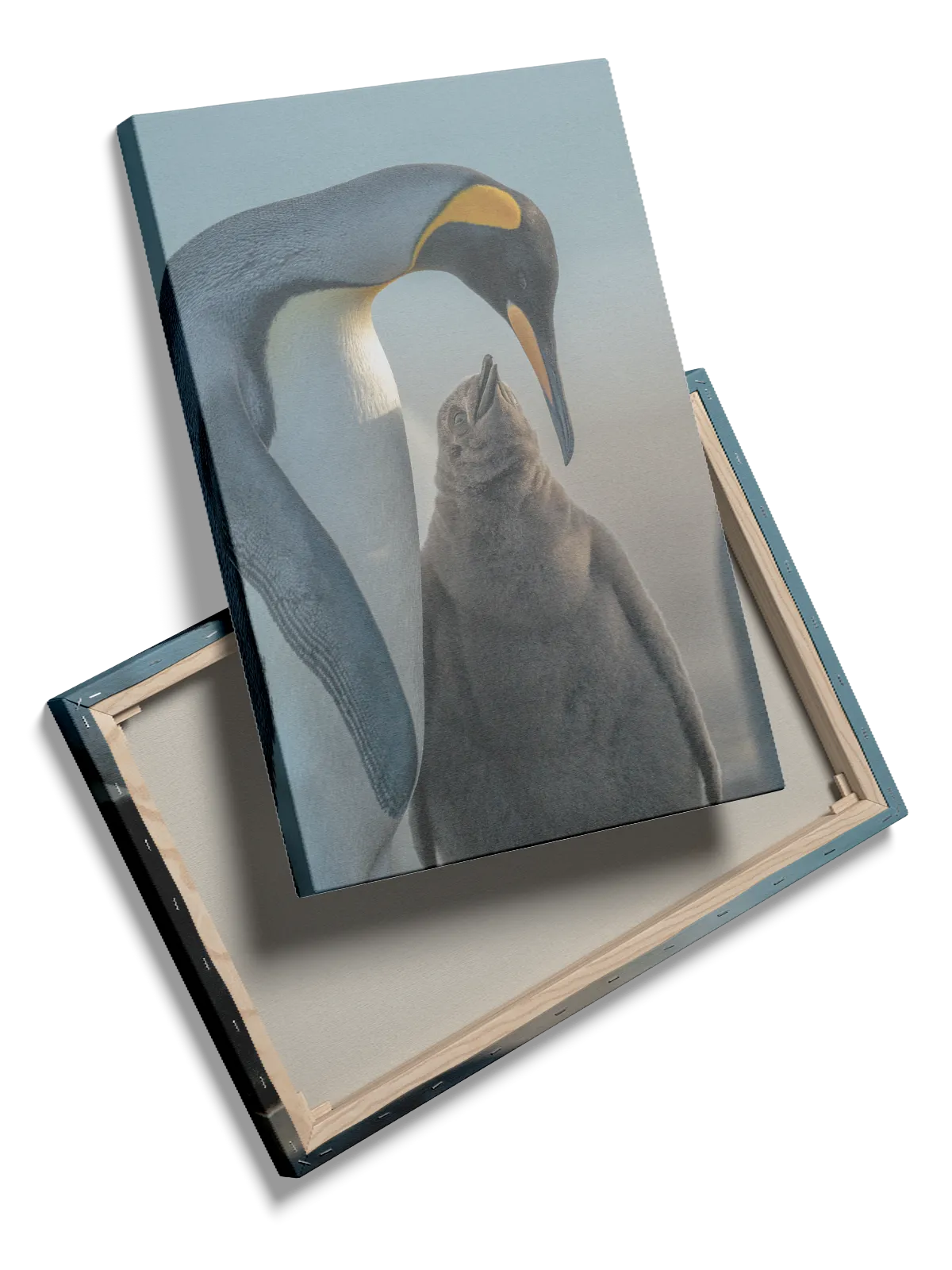 King Penguin Plakat No2