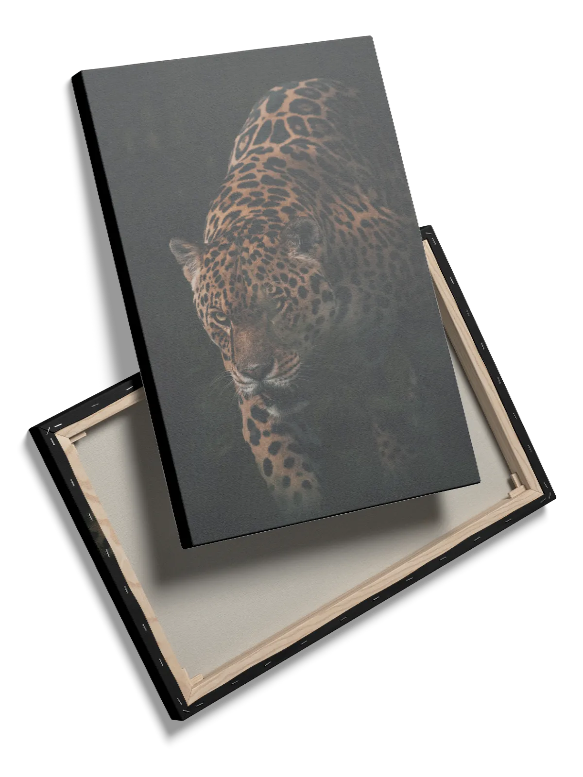 Ko Jaguar Plakat