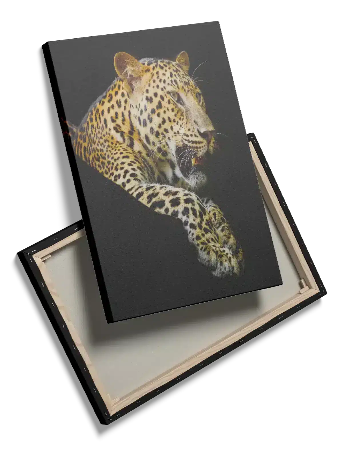 Leopard No2 Plakat