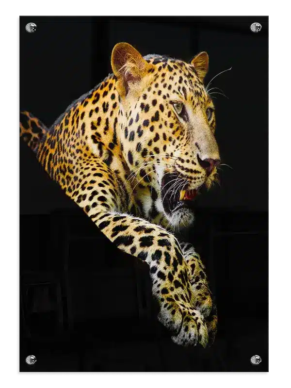 Leopard No2 Plakat