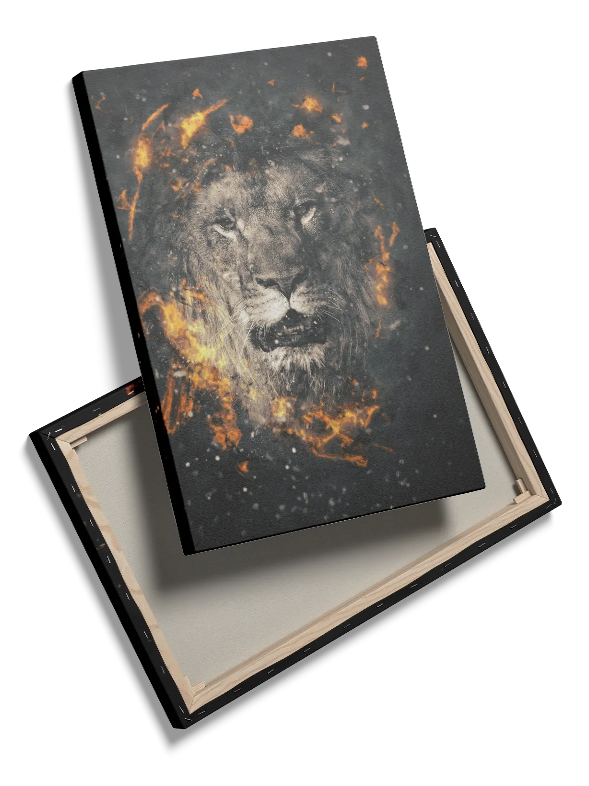 Lion Fire Plakat
