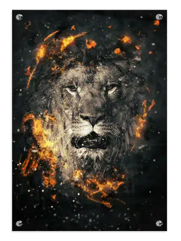 Lion Fire Plakat