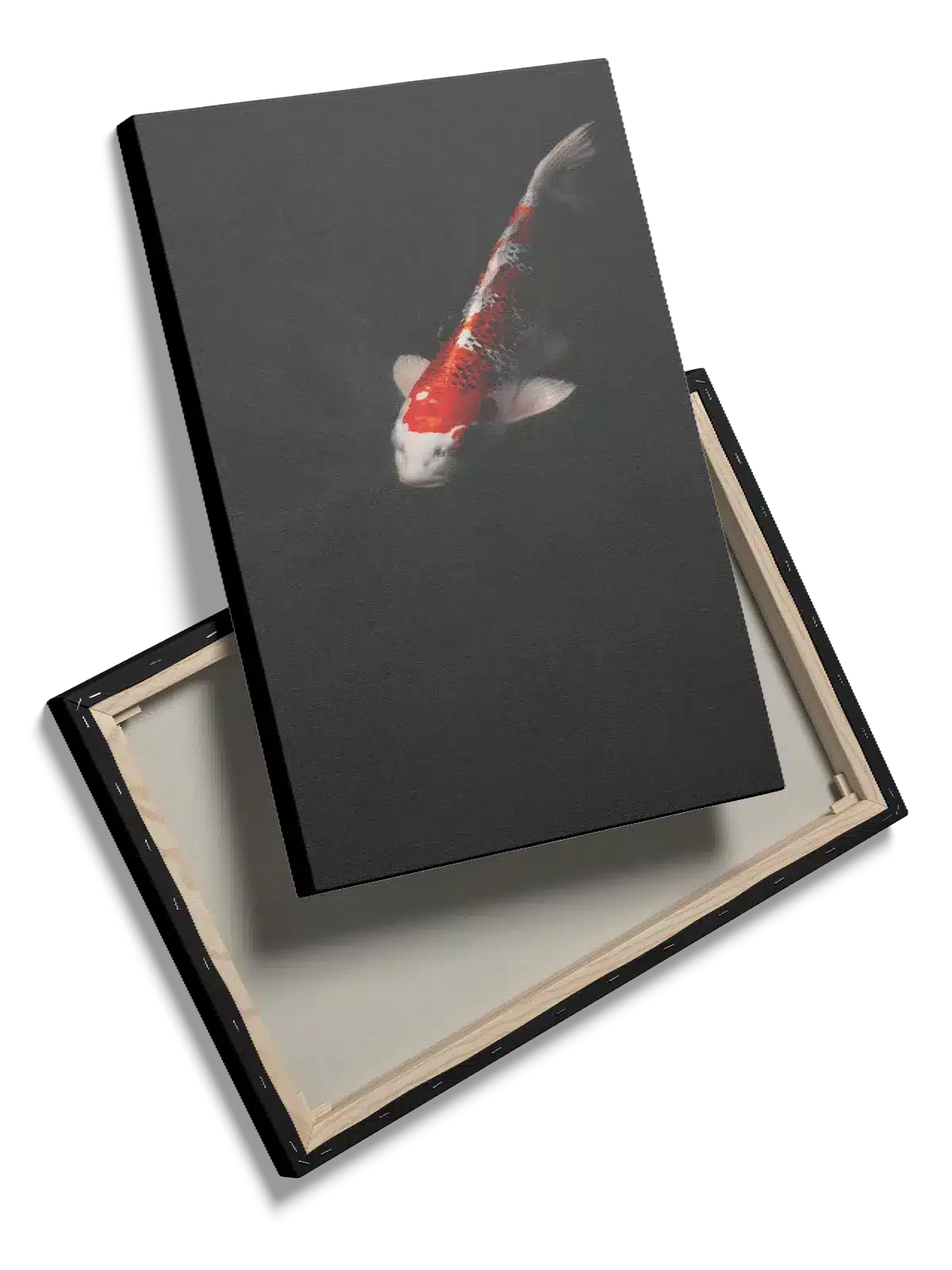 Koi Carp Plakat