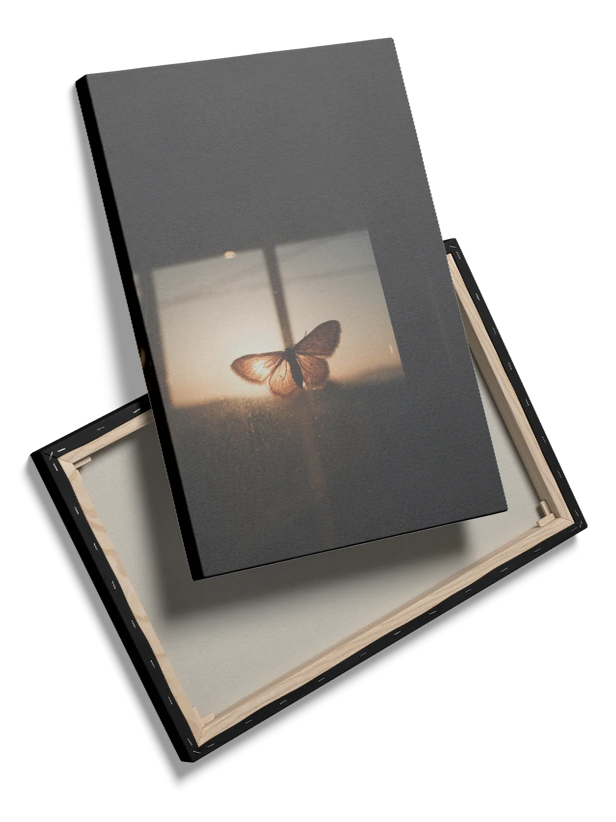 Butterfly At Sunset Plakat