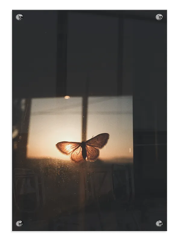 Butterfly At Sunset Plakat