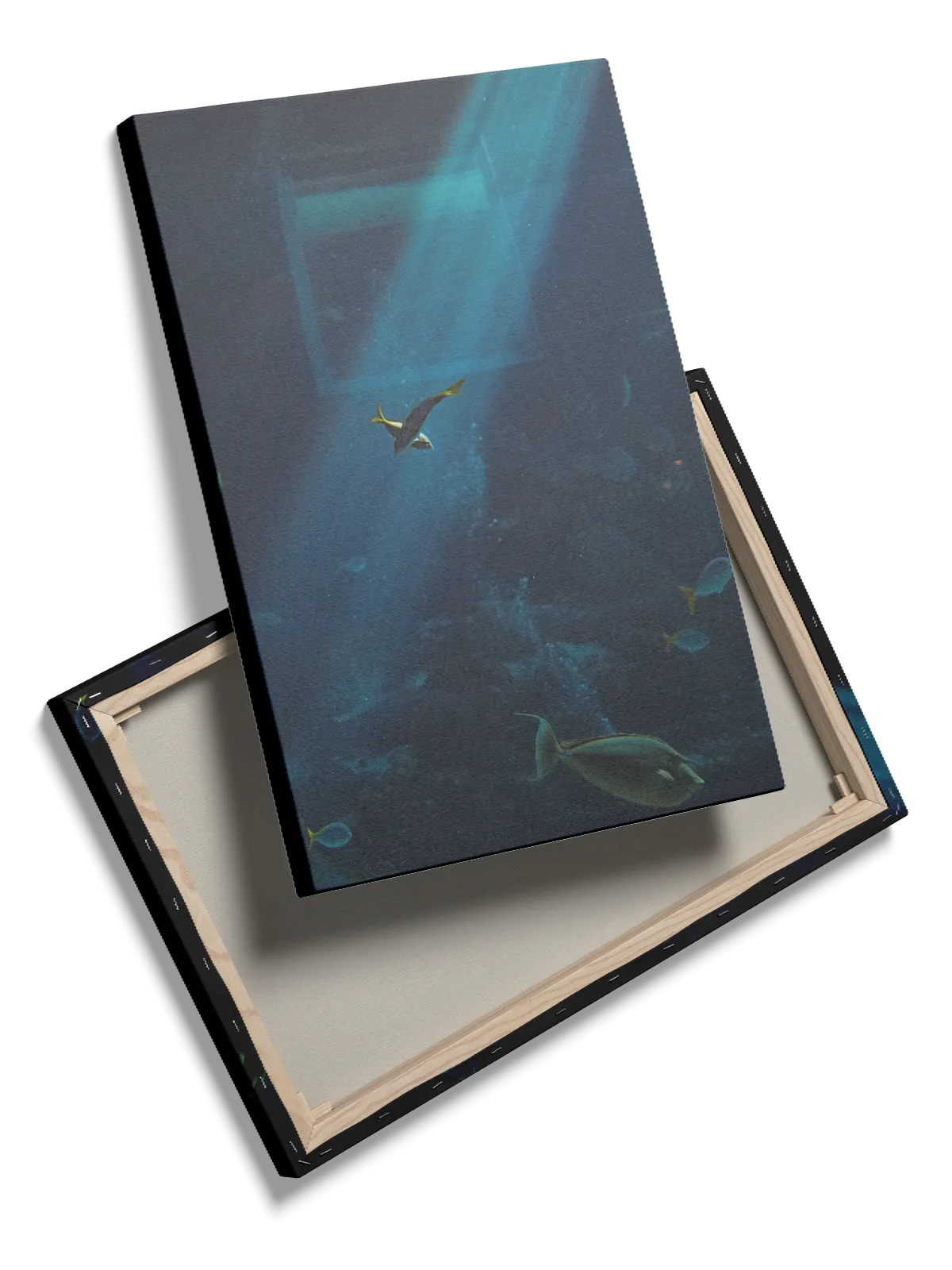 Tropical Fish Plakat