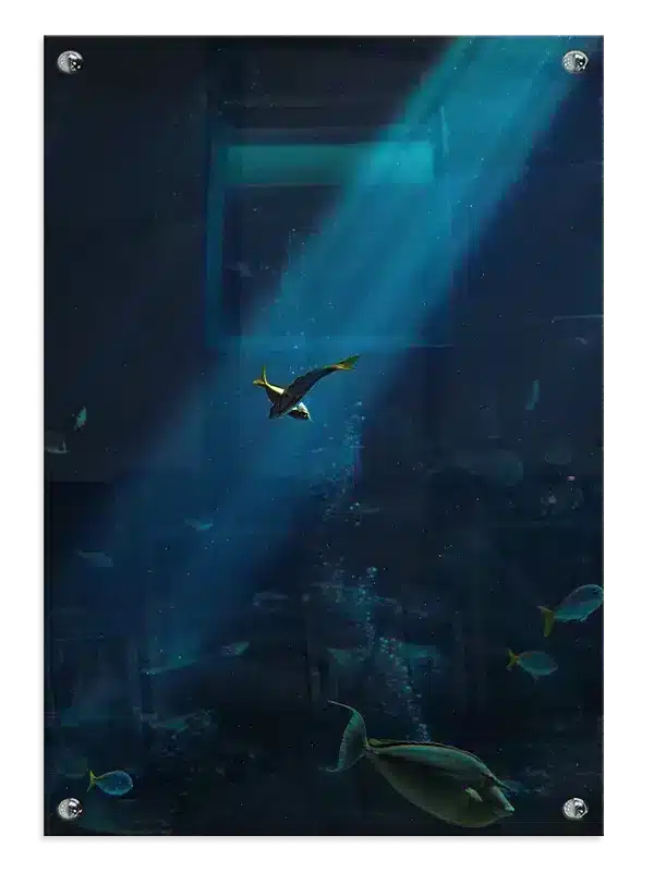 Tropical Fish Plakat