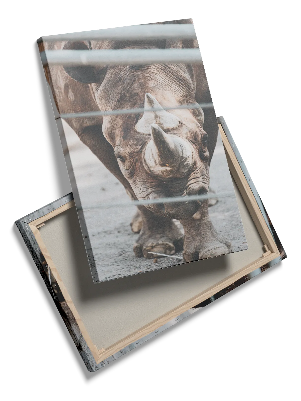 Black Rhinoceros No3 Plakat