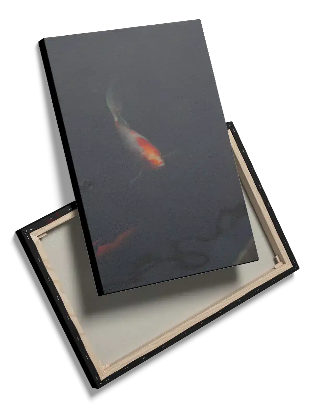 Koi Fish Dark Water Plakat