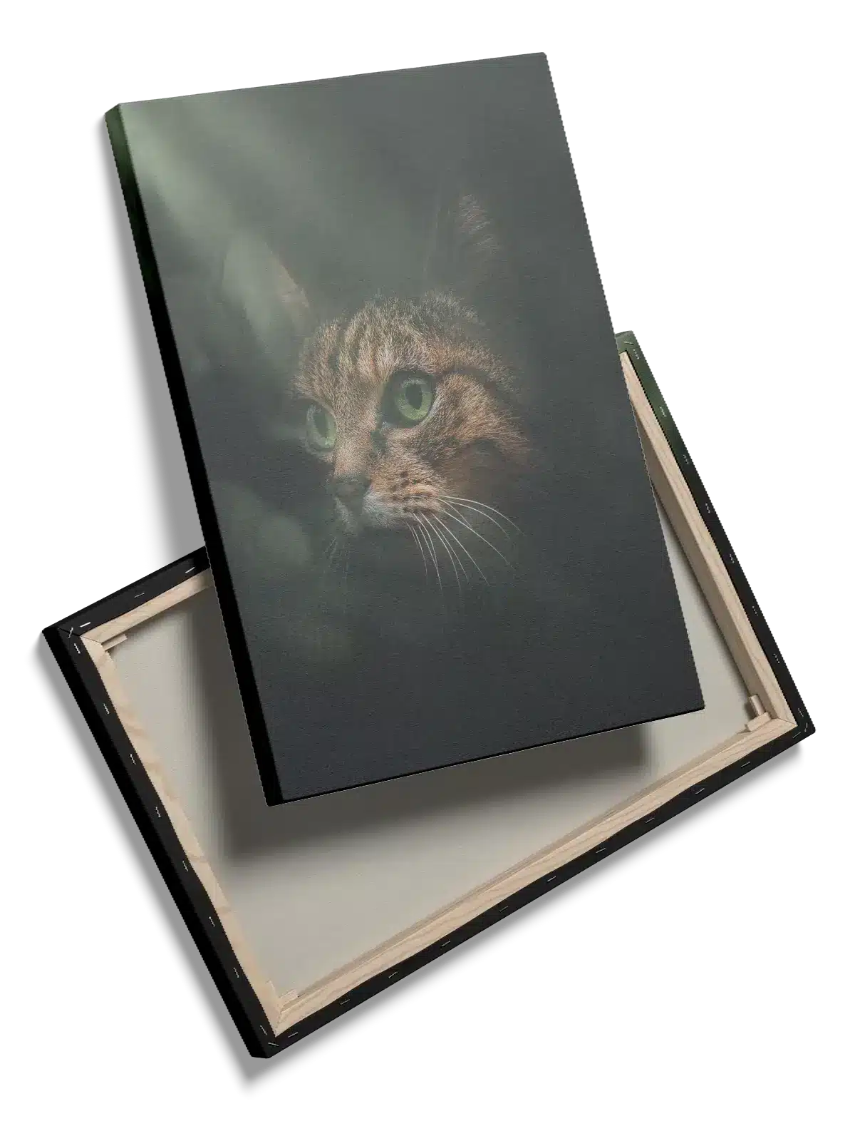 Tabby Cat Face Plakat