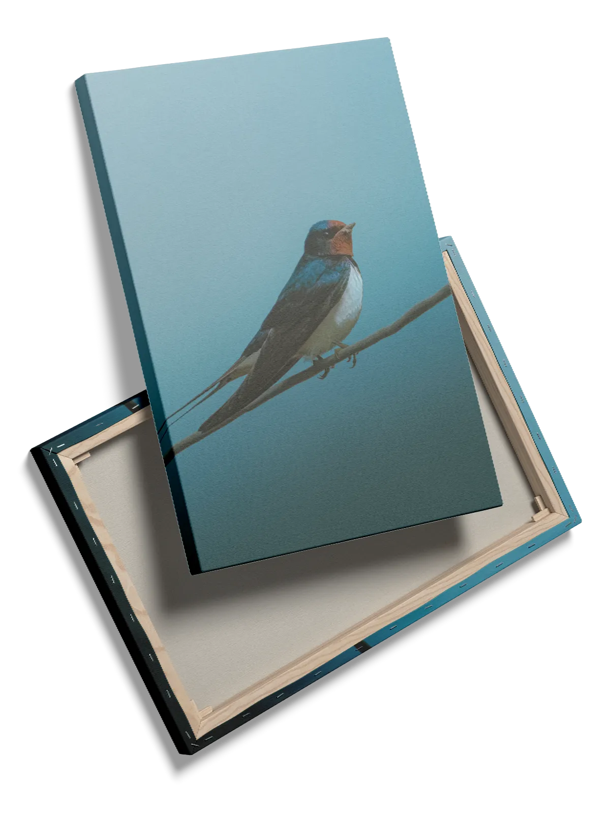 Ugle Barn Swallow Plakat