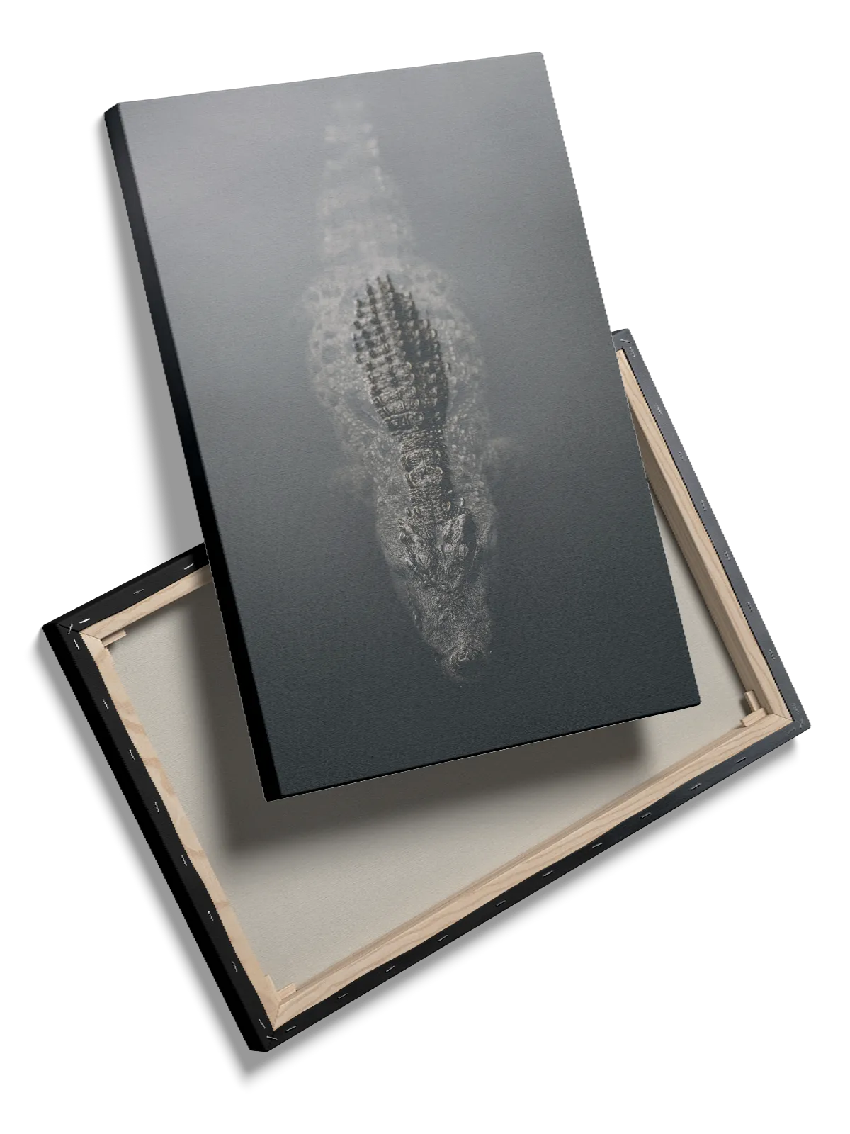 Crocodile No2 Plakat