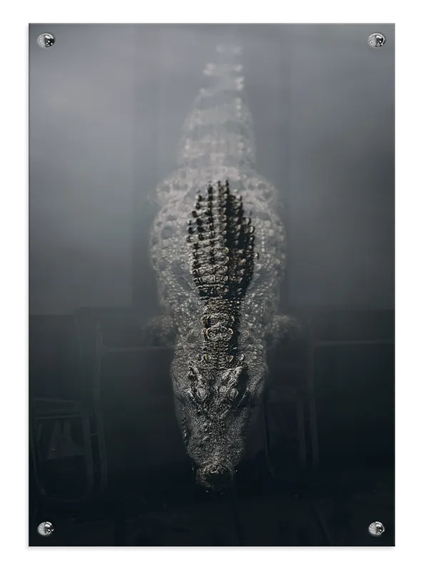 Crocodile No2 Plakat