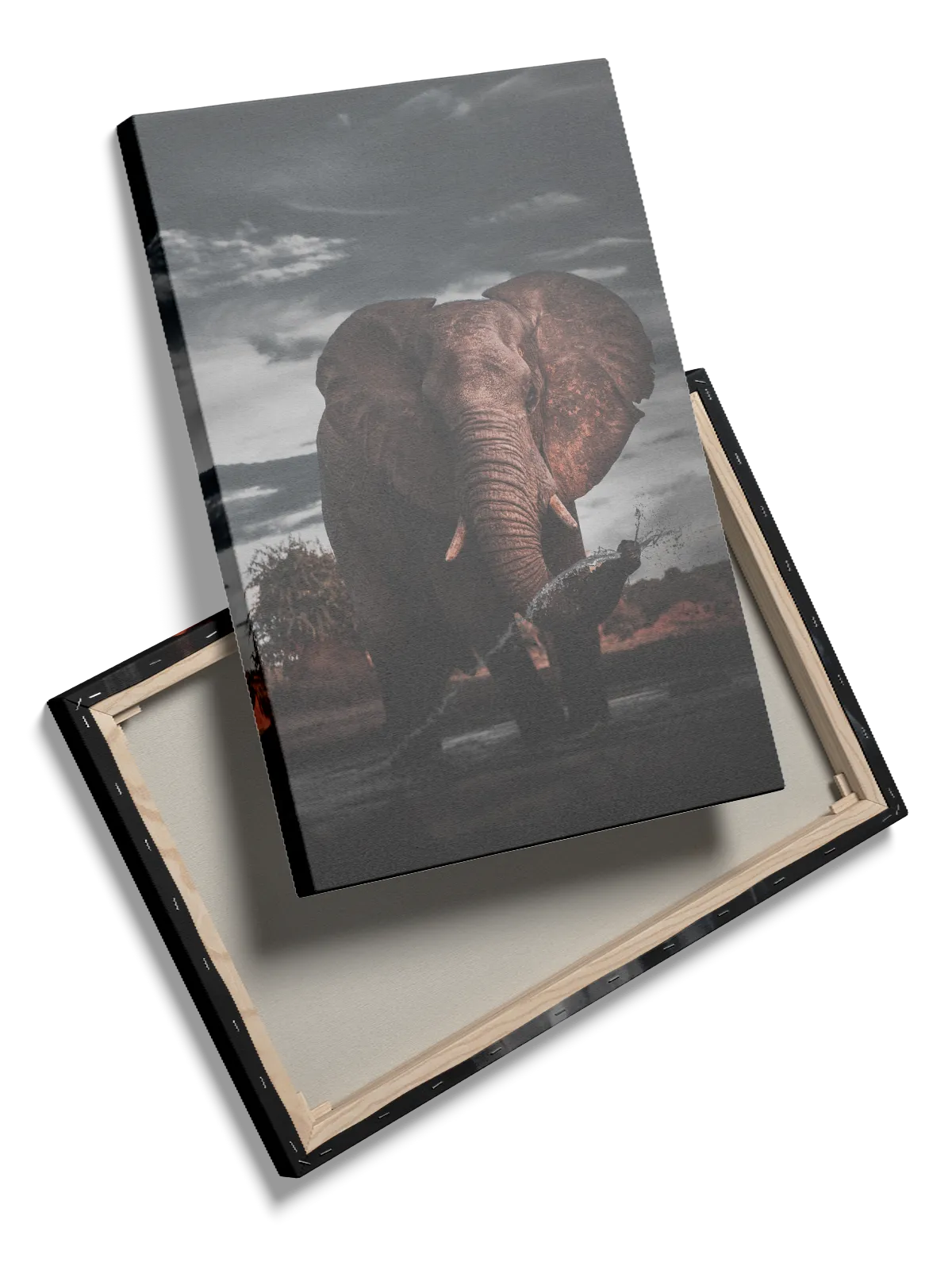 Elephant At Dusk No2 Plakat