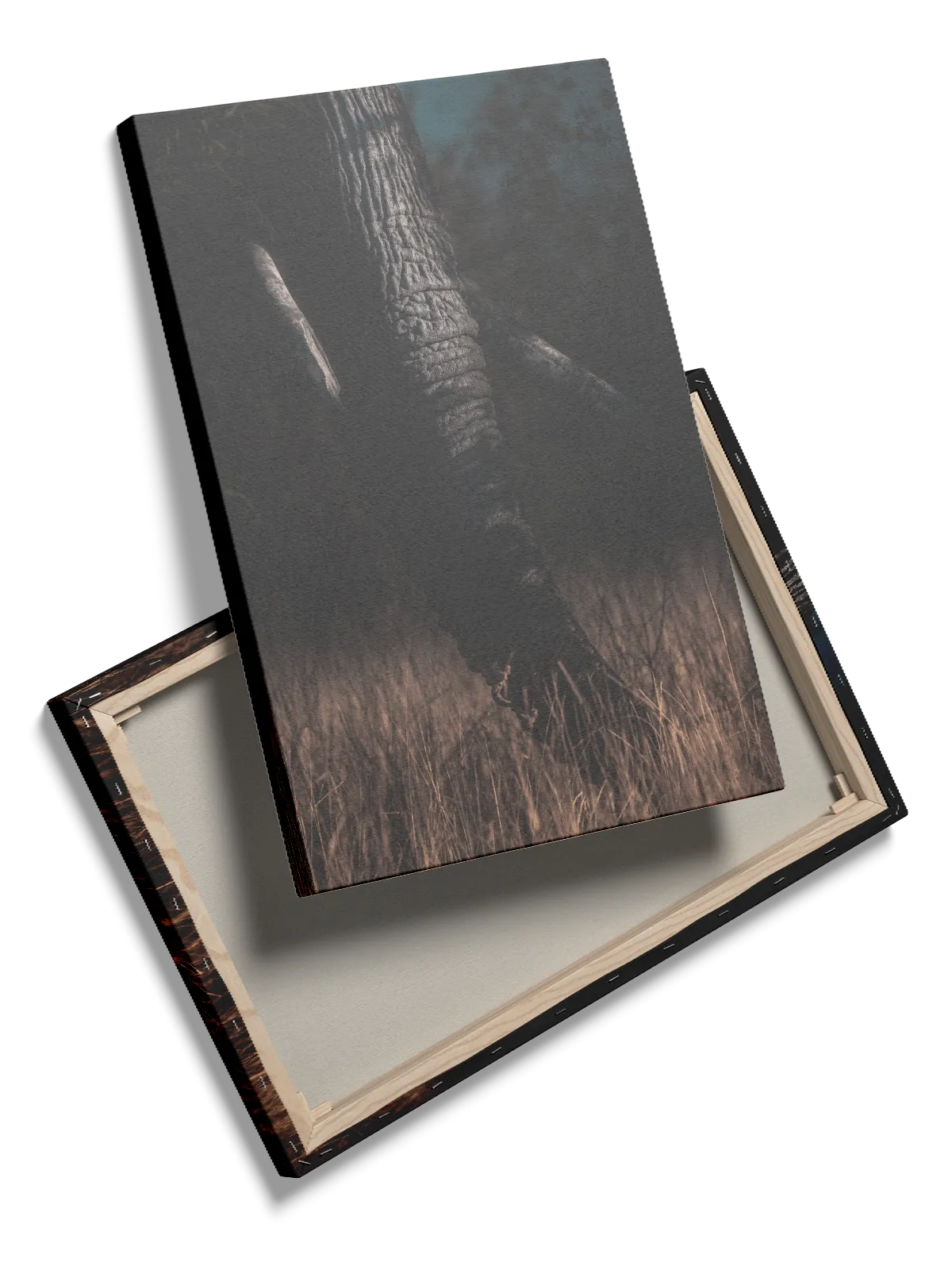 Elephant Trunk Plakat