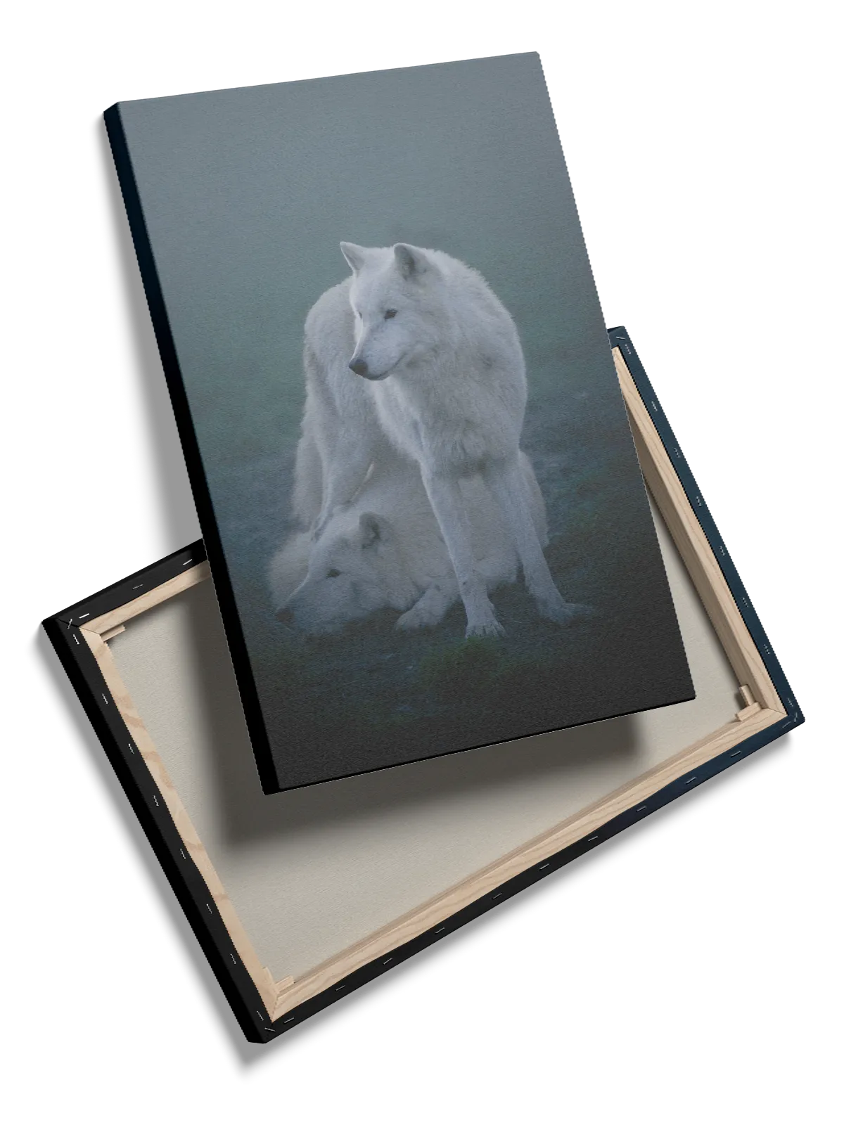 Arctic Wolf Duo Plakat