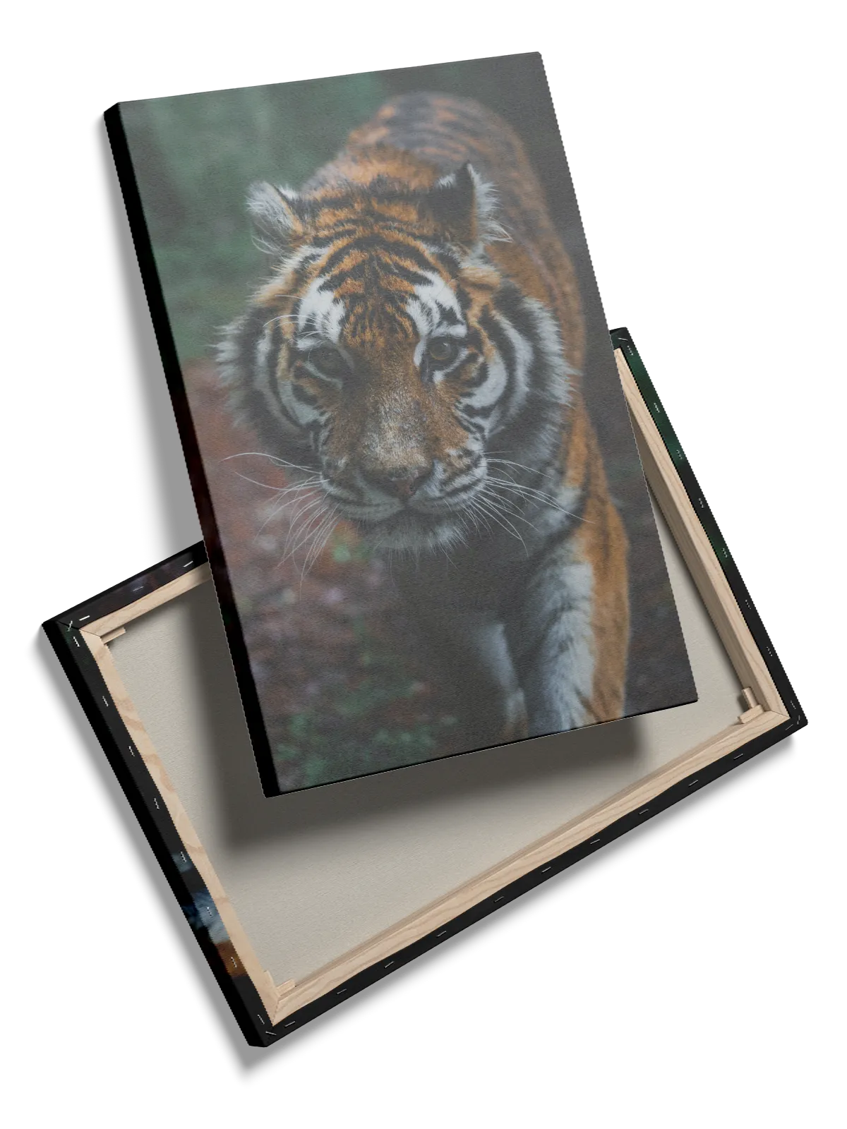 Tiger Close Plakat