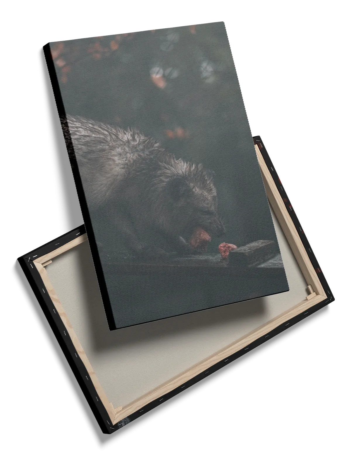 Raccoon Dog Plakat