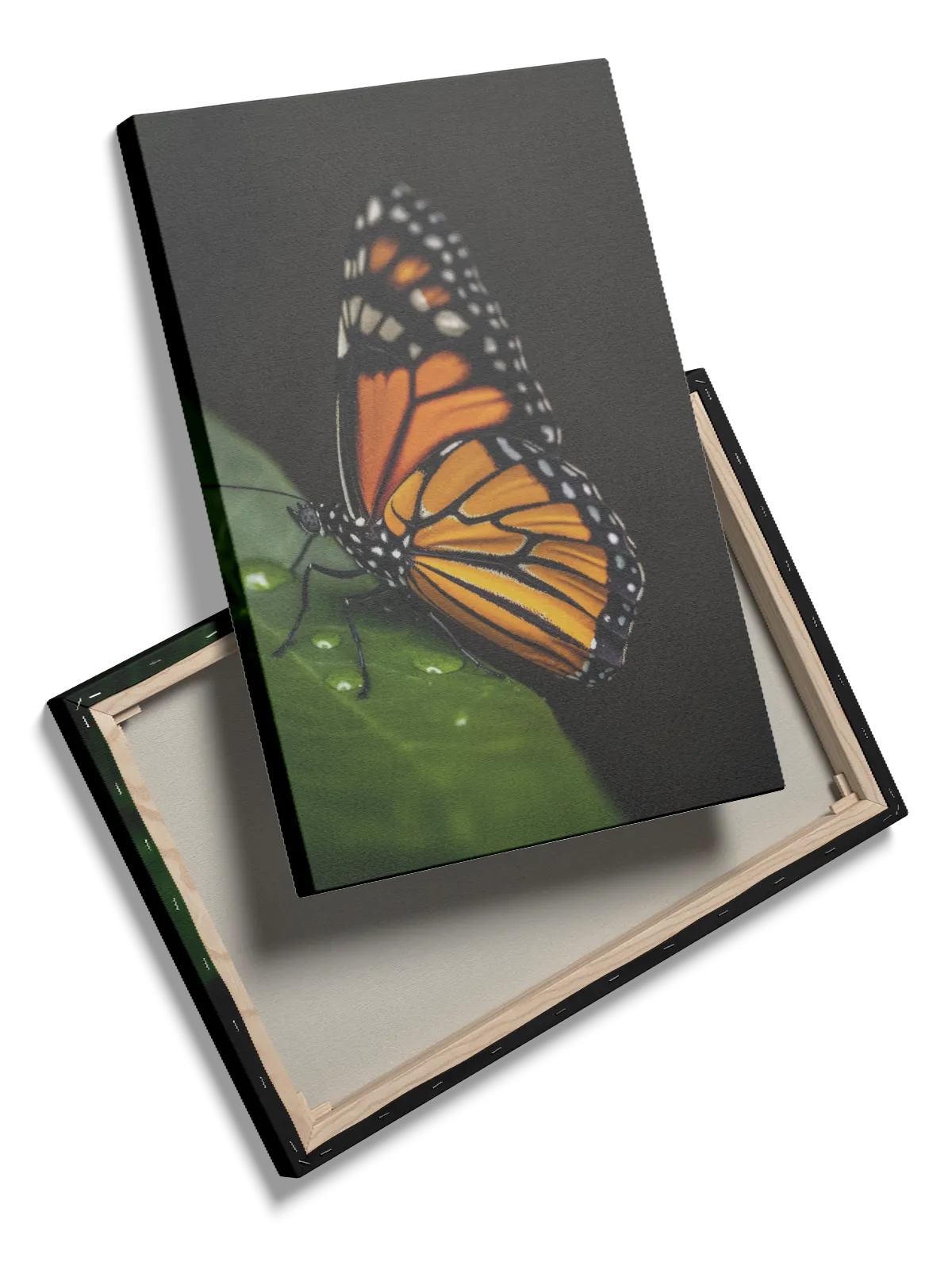 Monarch Butterfly Plakat