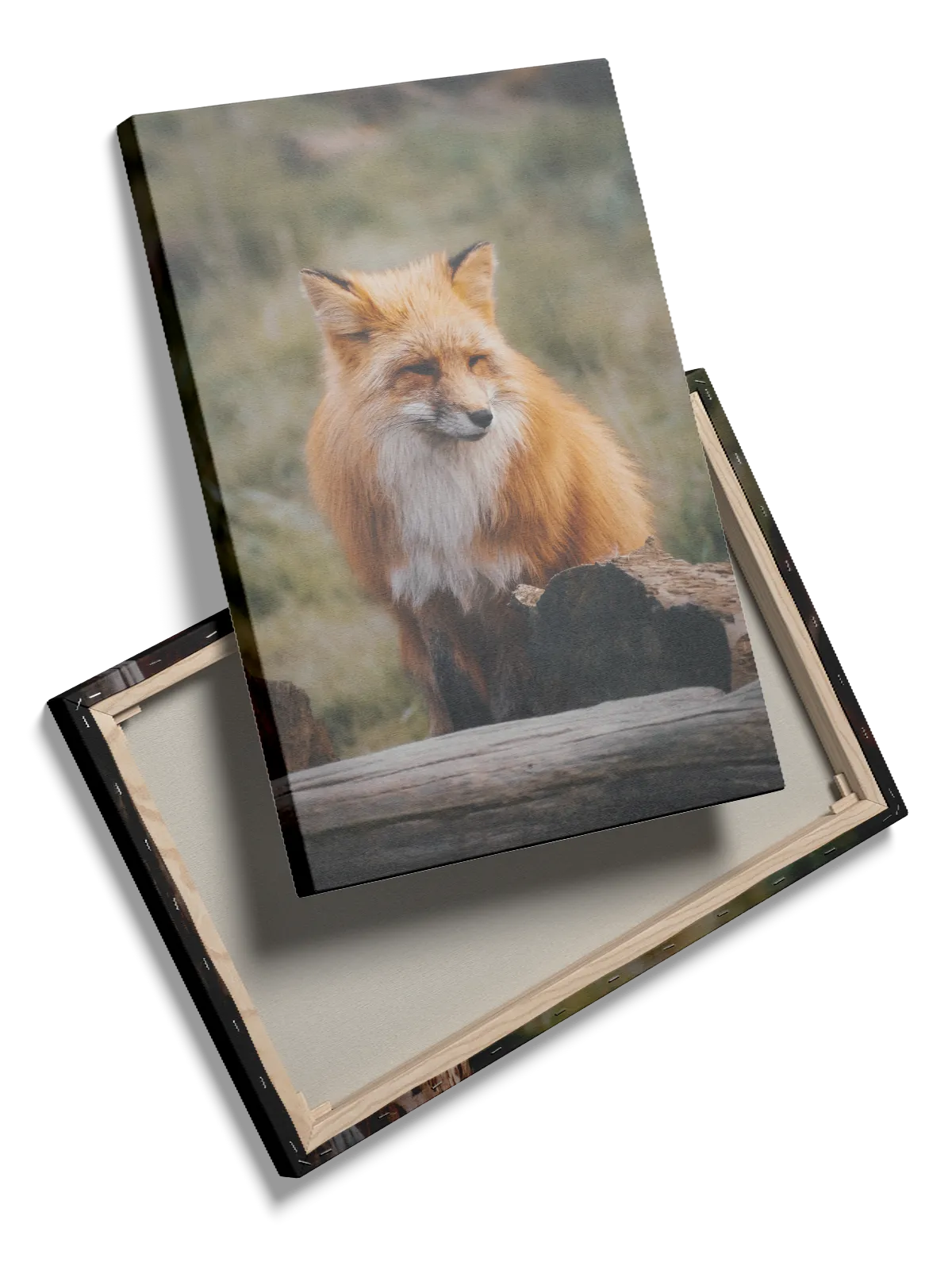 Red Fox Forest Plakat