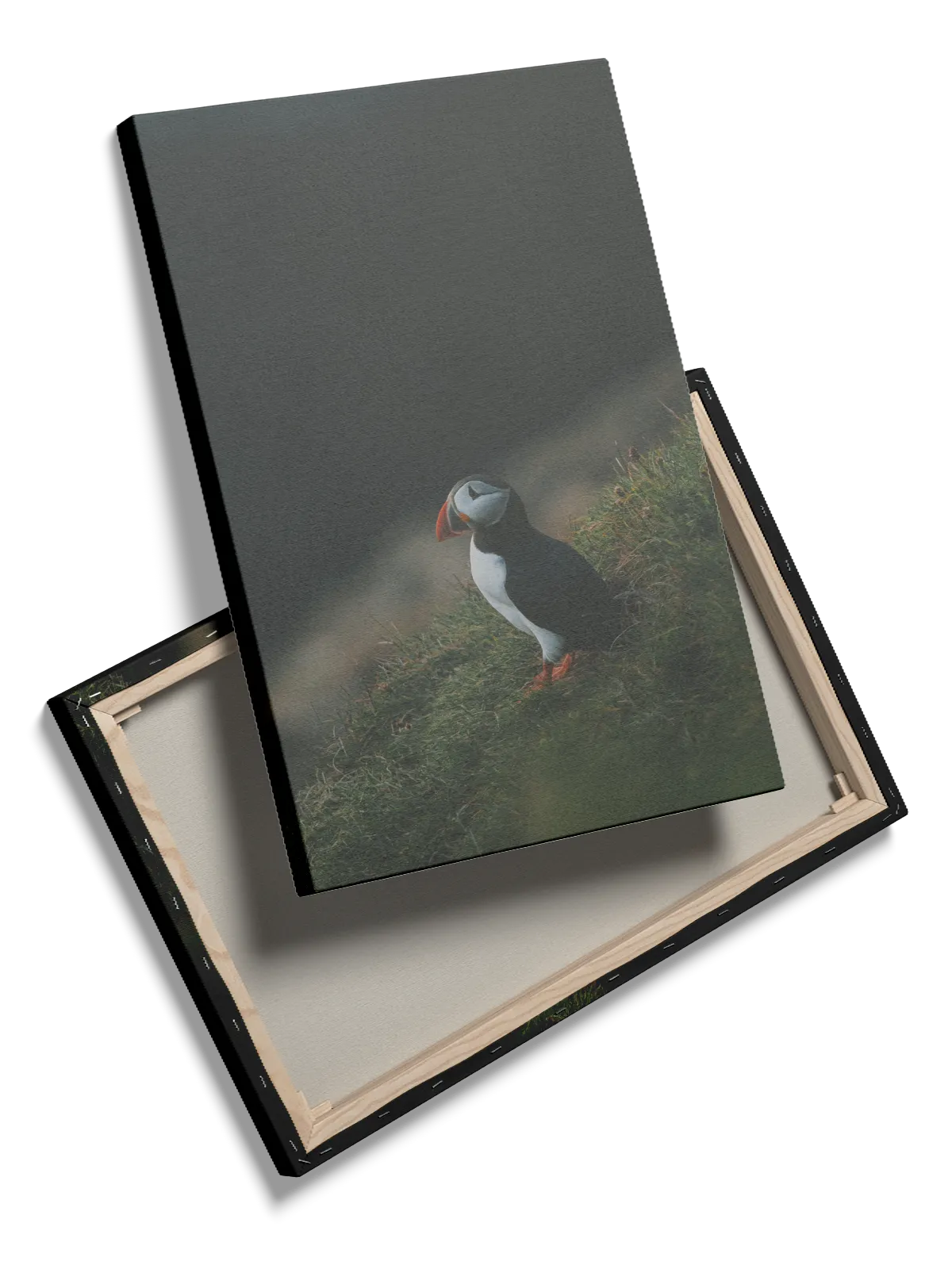 Ugle Atlantic Puffin Plakat