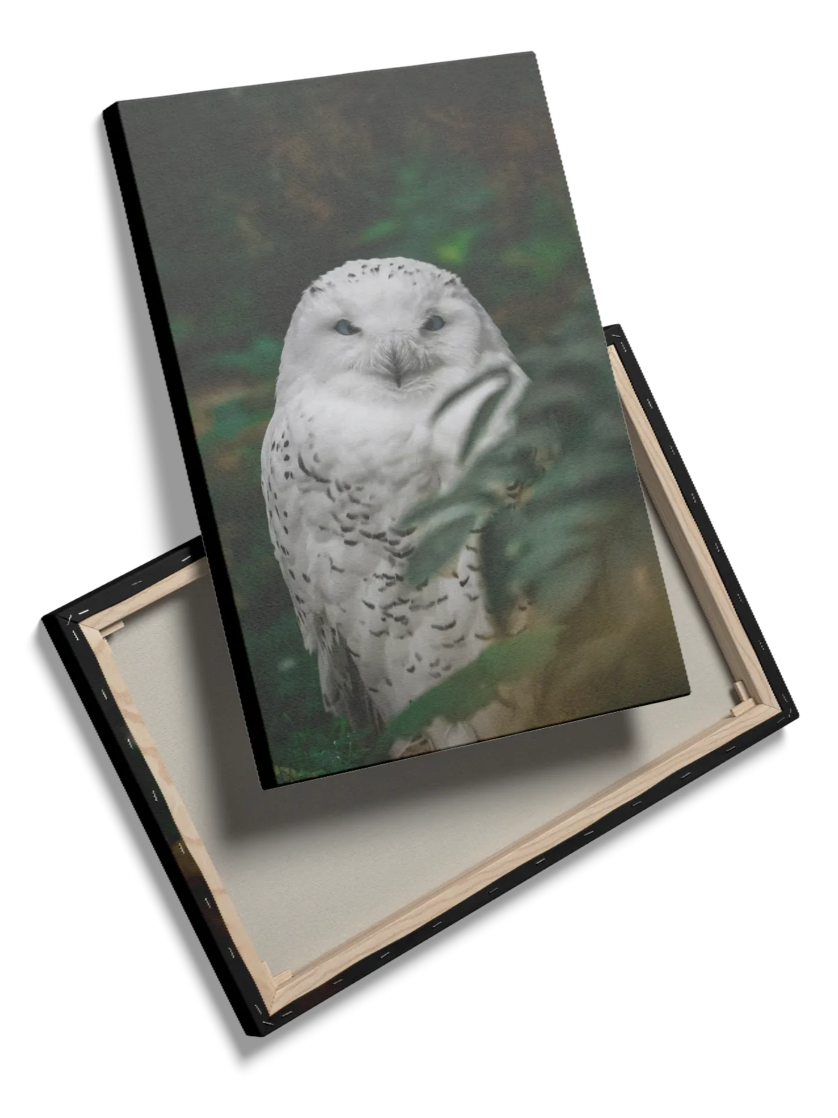 Snowy Owl Forest Plakat