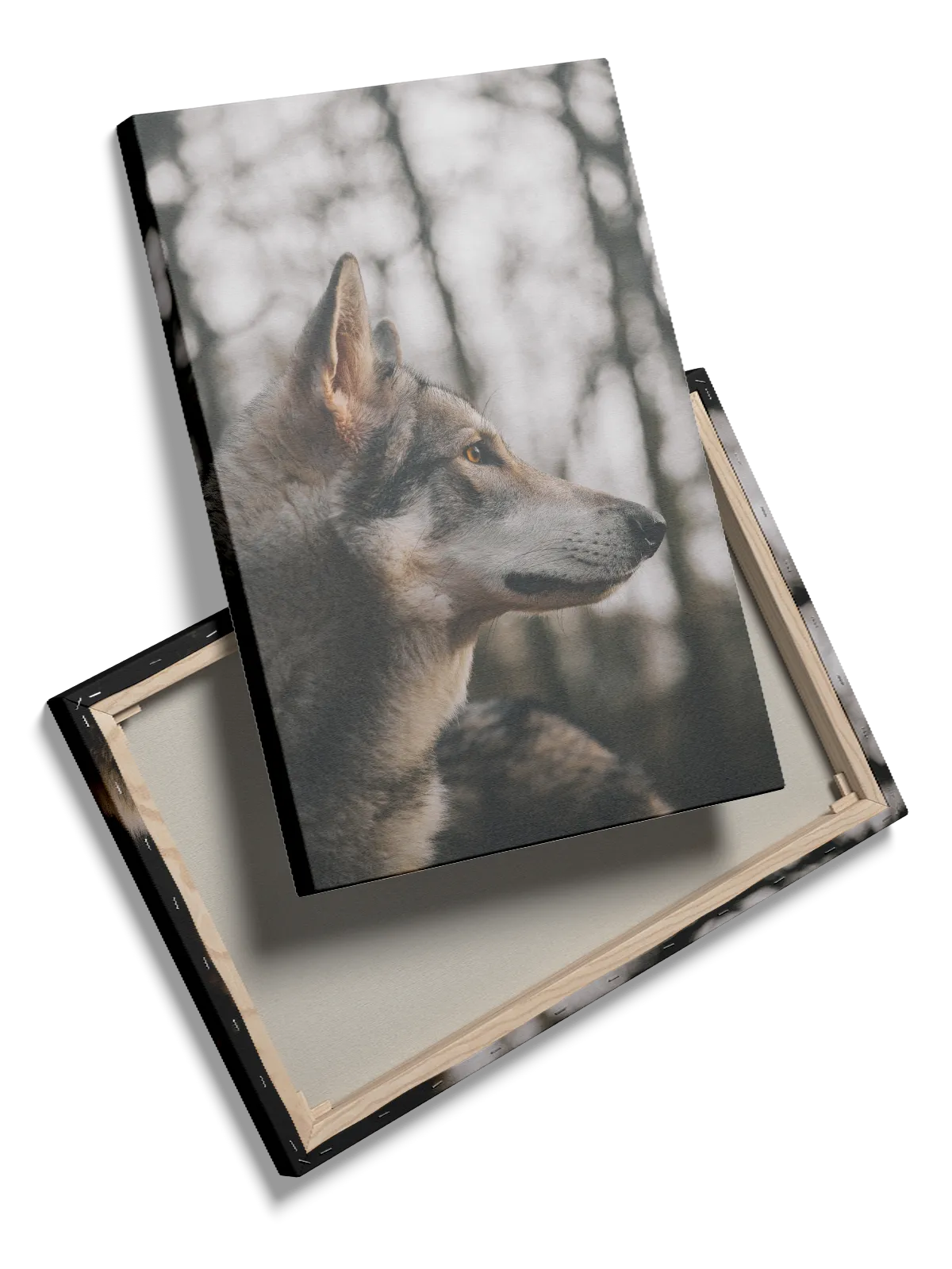 Wolf Side Plakat