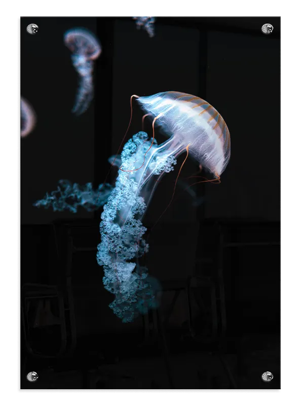 Jellyfish Blue Glow Plakat
