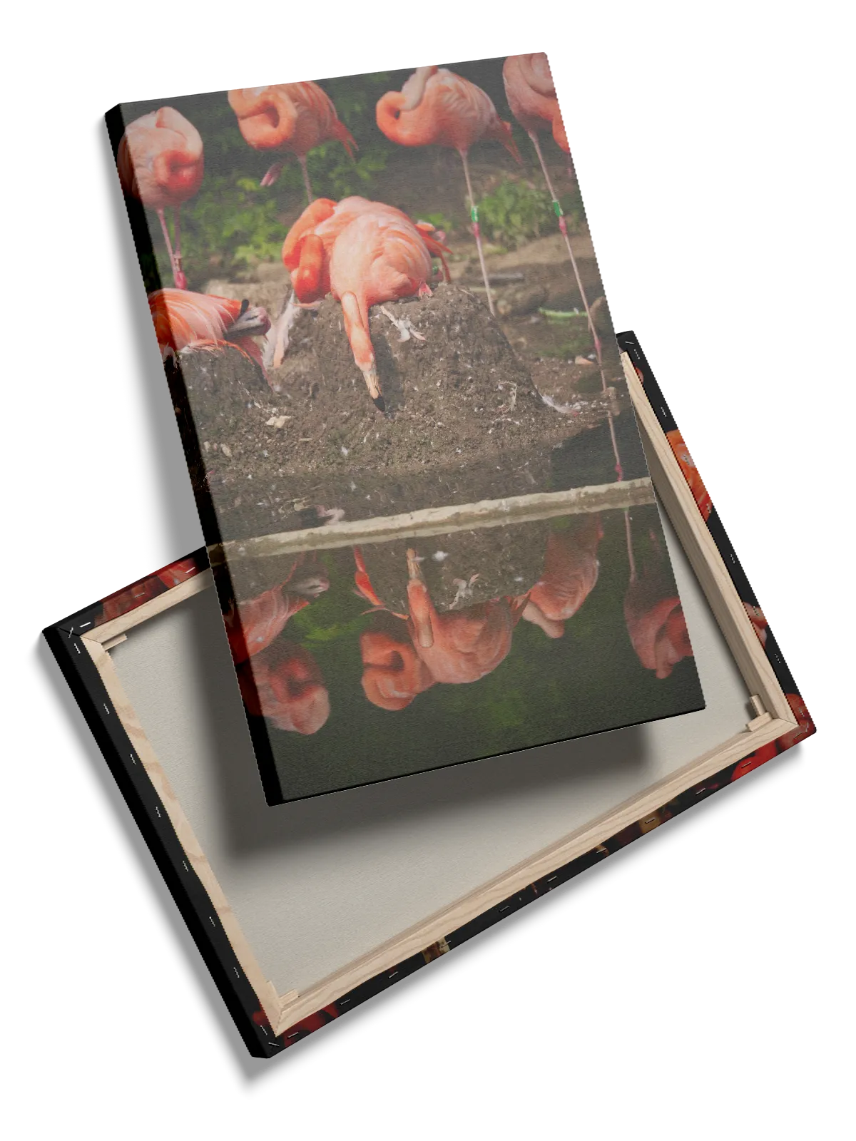 Flamingo Reflection Plakat