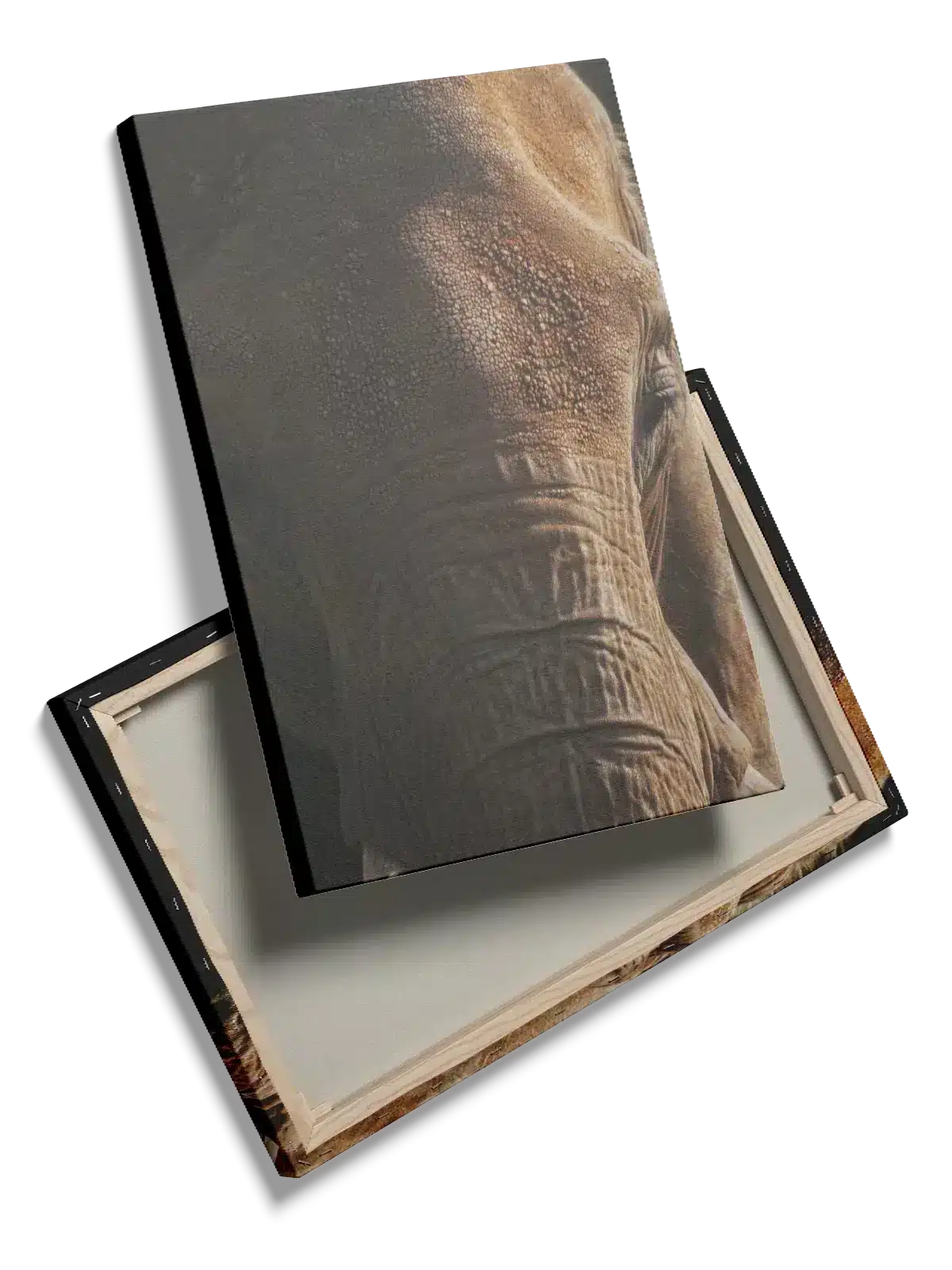 Elephant Close Plakat