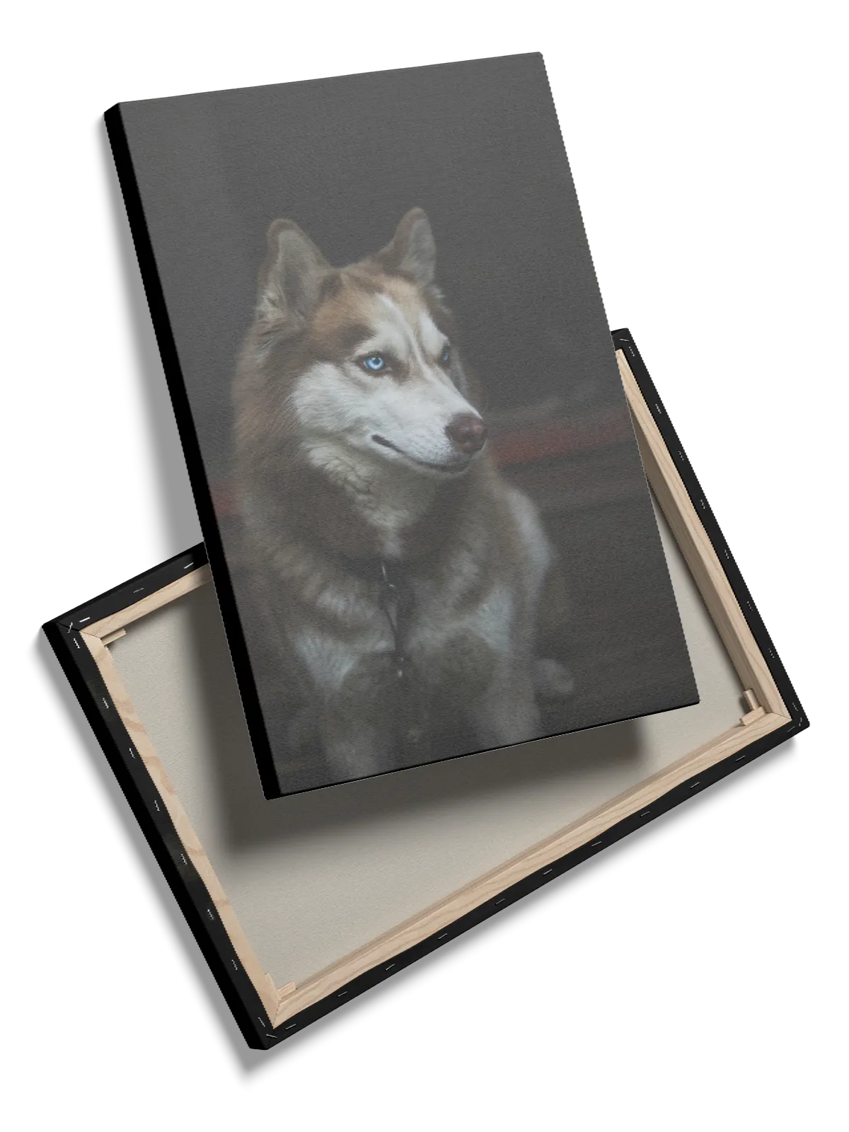 Siberian Husky Portrait Plakat