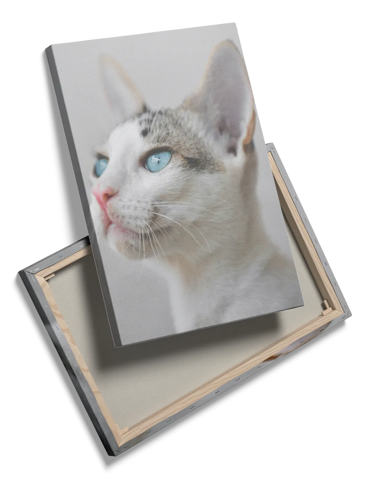 Blue Eyed Plakat