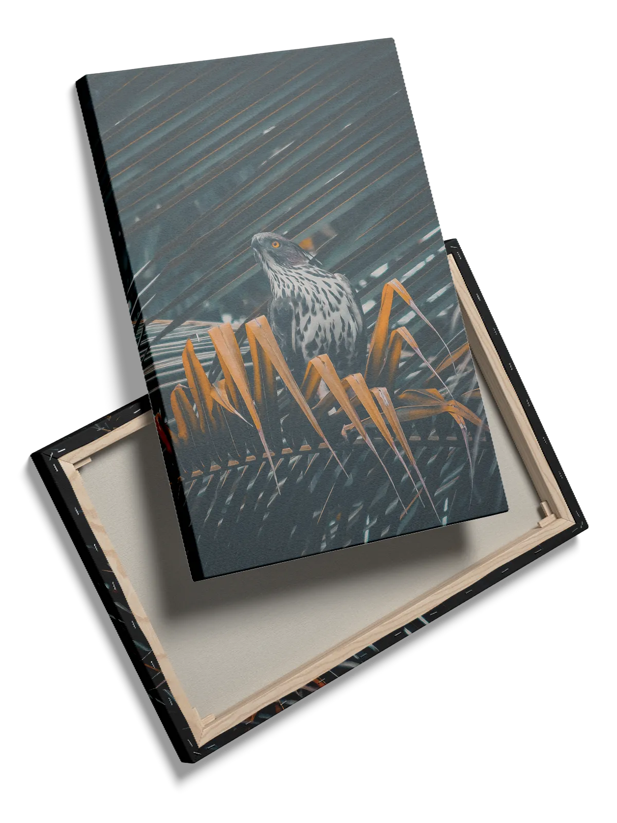 Bird Crested Plakat